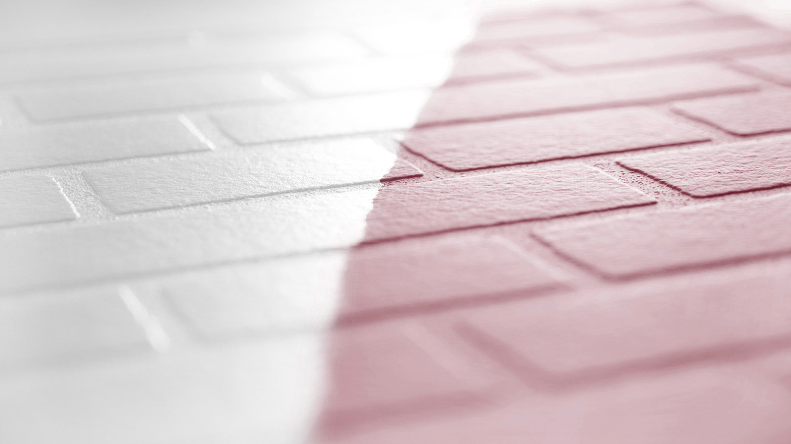 AS Vliestapete Meistervlies 8 überstreichbar 245311