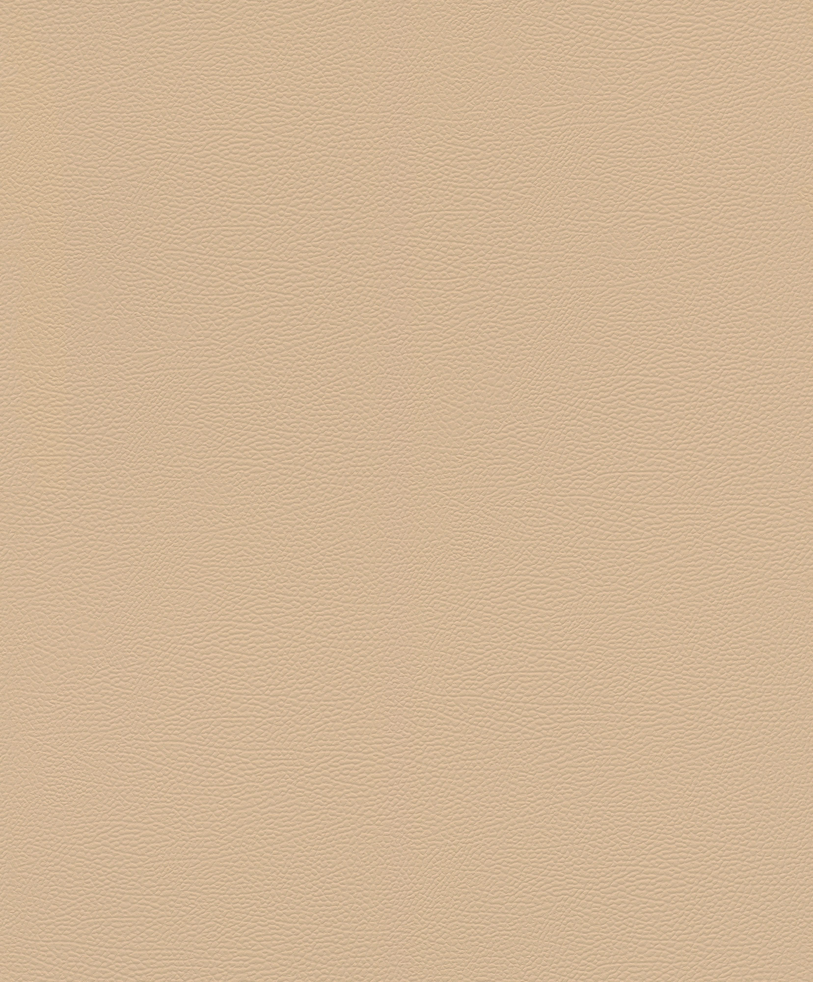 Rasch Vliestapete African Queen 3 Elefantenhaut 752694