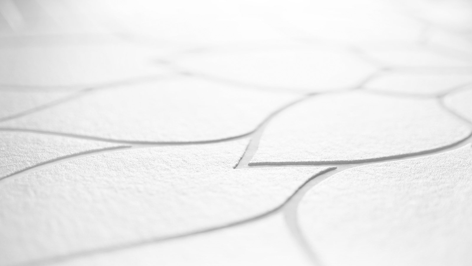 AS Vliestapete Meistervlies 8 überstreichbar 950819