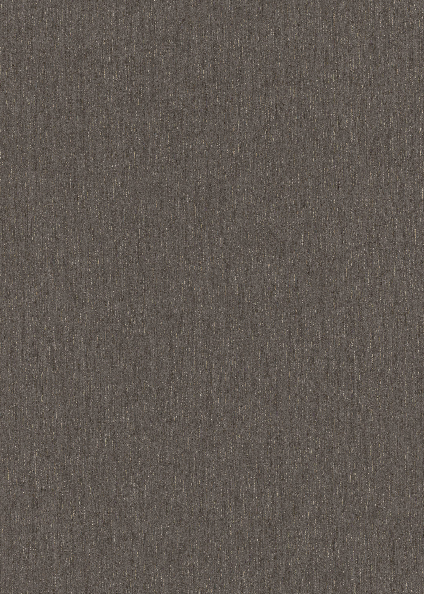 Erismann Vliestapete Spotlight 2 grau 1043734