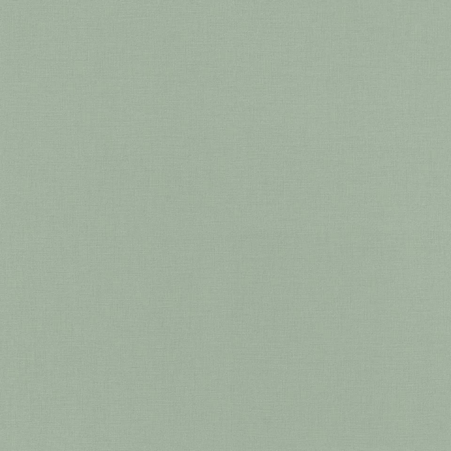 Rasch Vliestapete Allegretto Grün-Grüngrau 690743