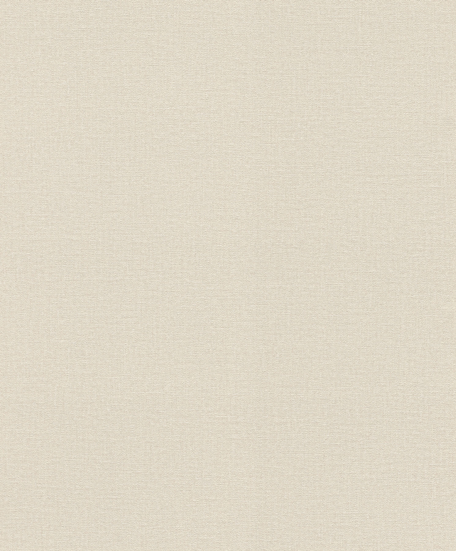 Rasch Vliestapete Liverna Grau-hellgrau 555844