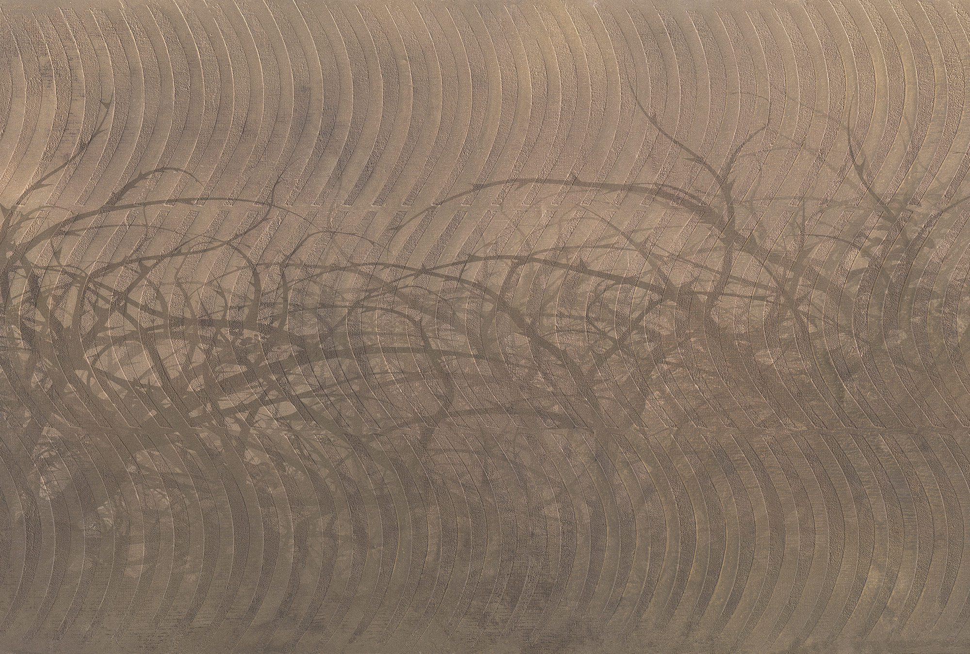 AS Fototapete Atelier 47 ThornHedge DD117920