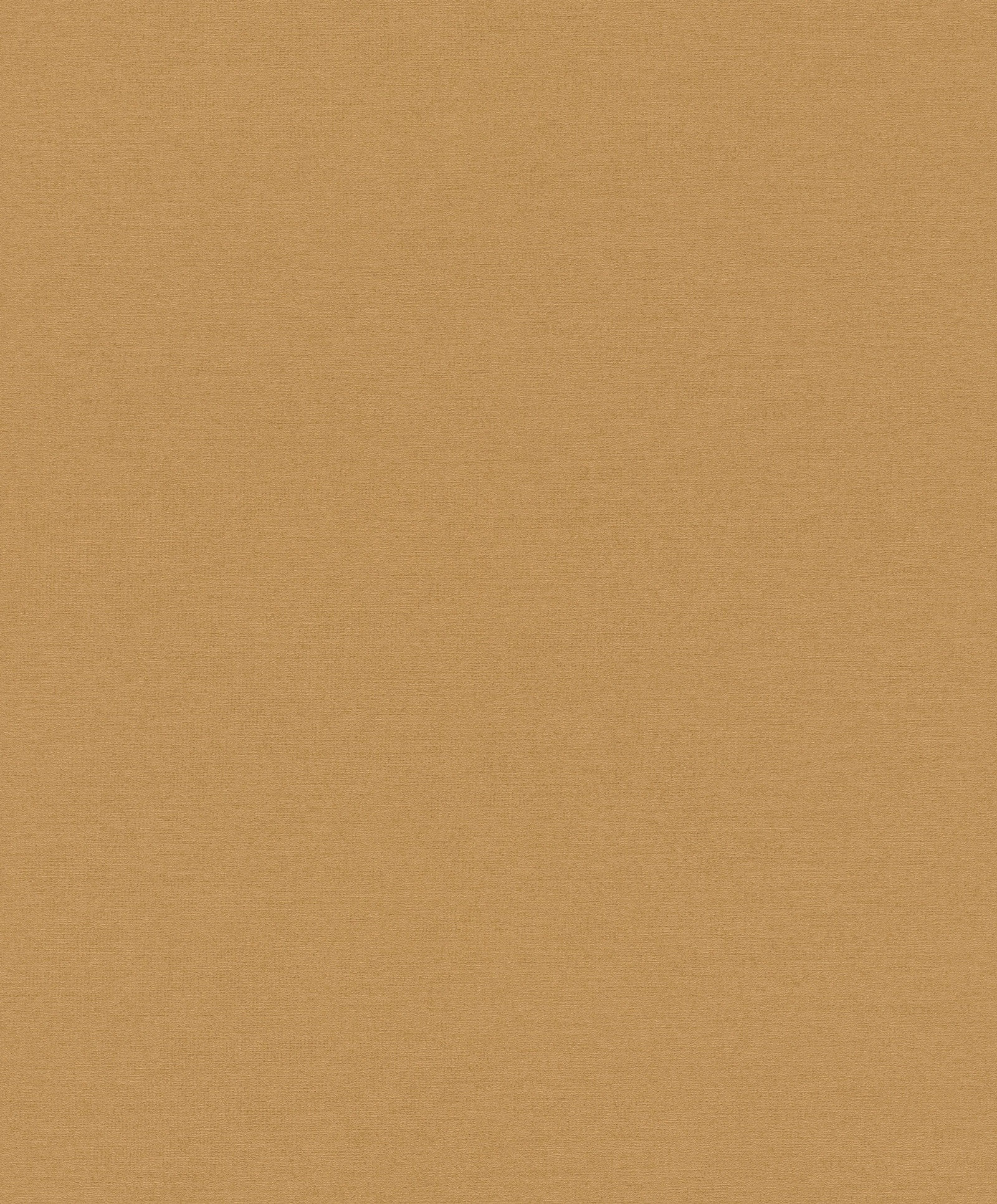 Rasch Vliestapete Schöner Wohnen Cosy Living 600292