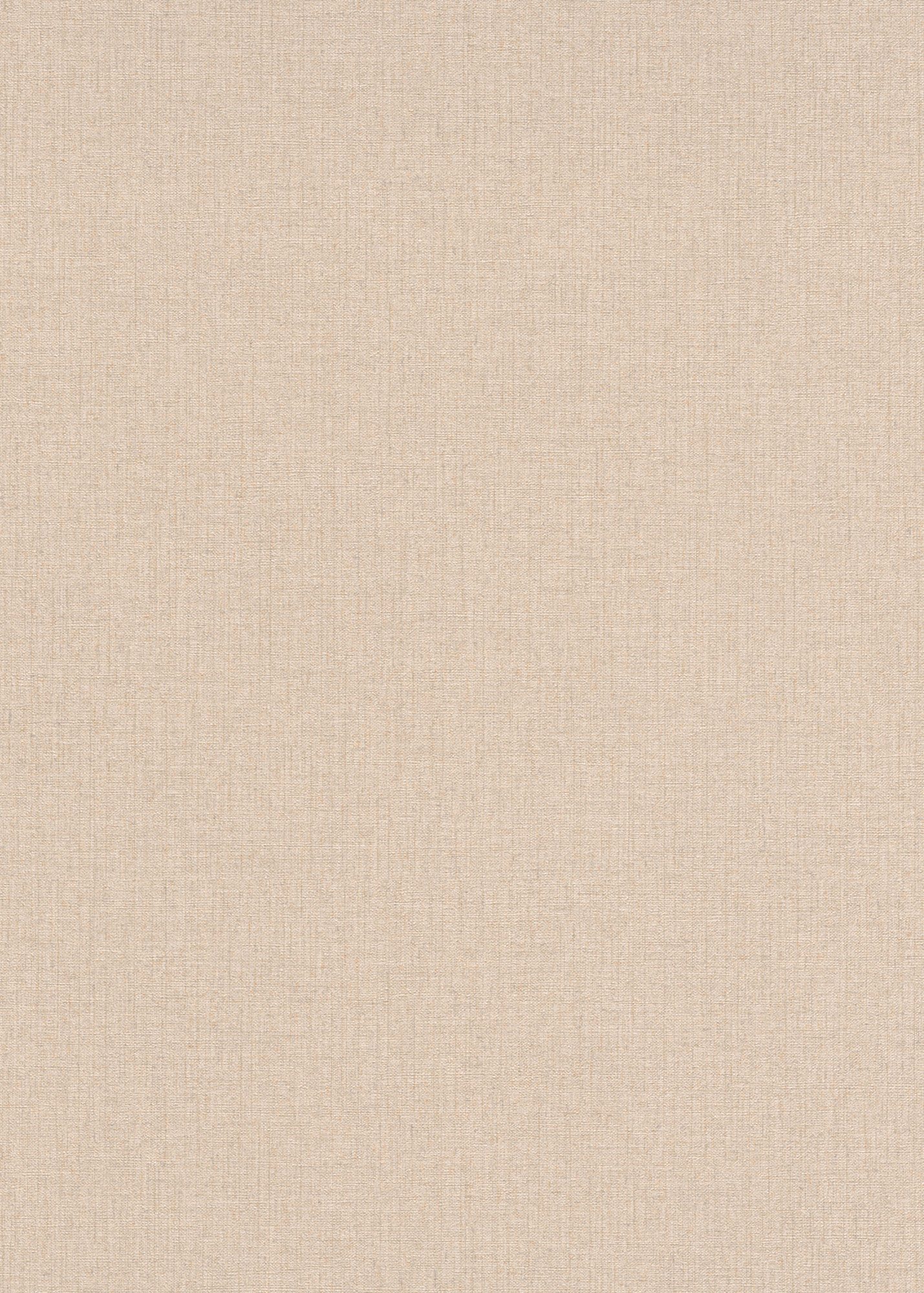 Erismann Vliestapete Code Nature beige 1021505