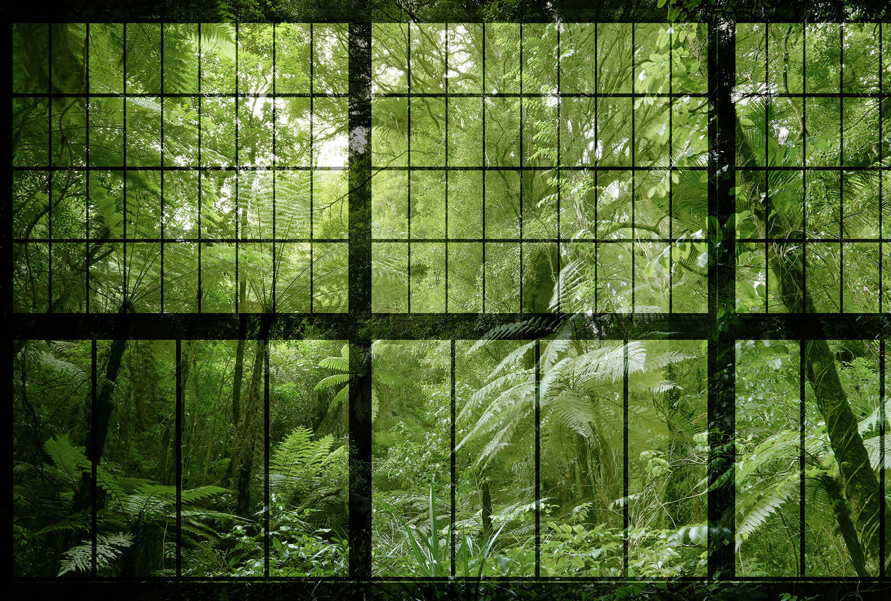 AS Fototapete Walls by Patel 2 Fenster Dschungel DD113742
