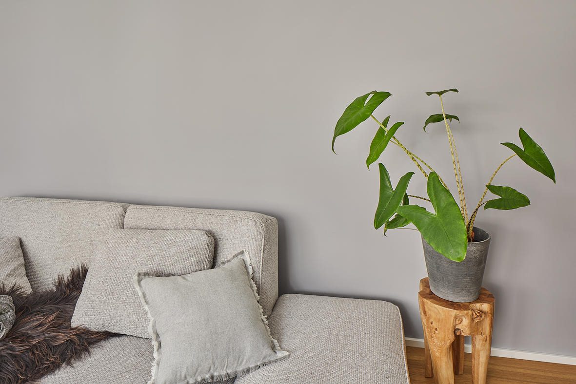 Erfurt Glattvlies Variovlies Eco Green | Einzelrolle