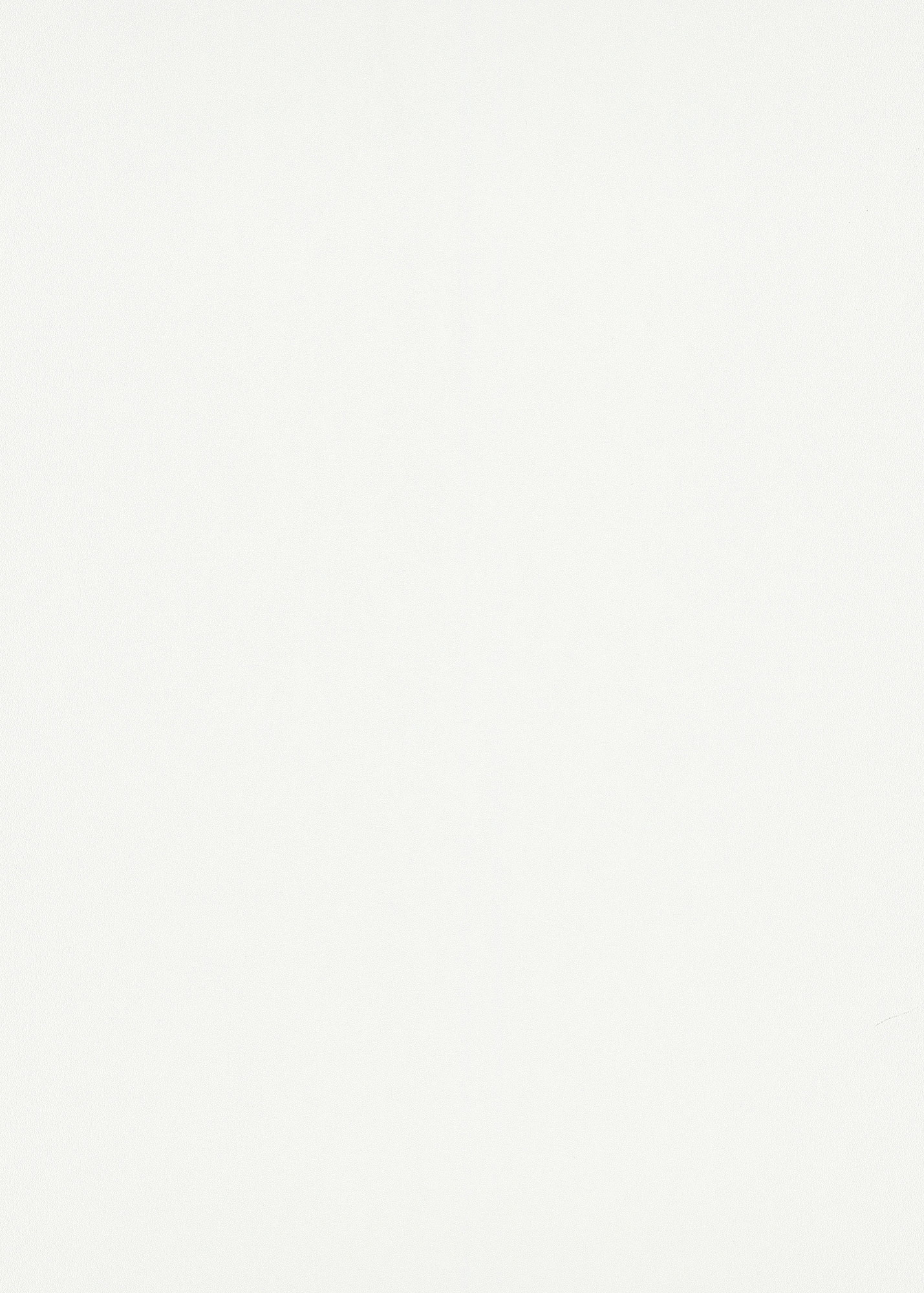 Erismann Vliestapete Elle 3 weiß Unis 1033501