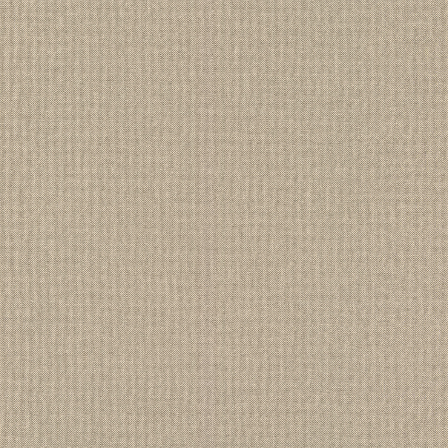 Rasch Vliestapete Allegretto Braun-Sand 423921