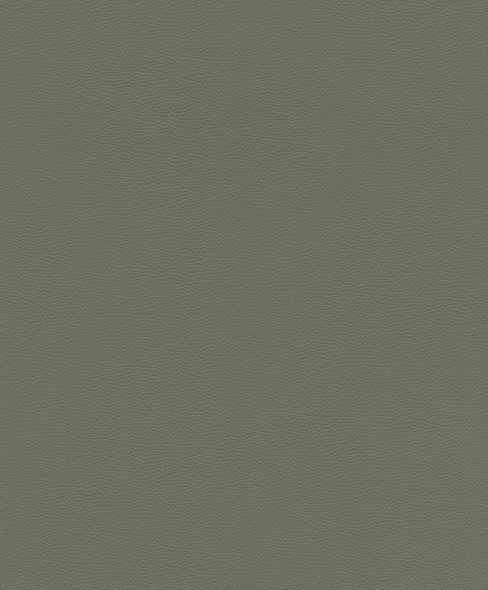 Rasch Vliestapete African Queen 3 Elefantenhaut 752687