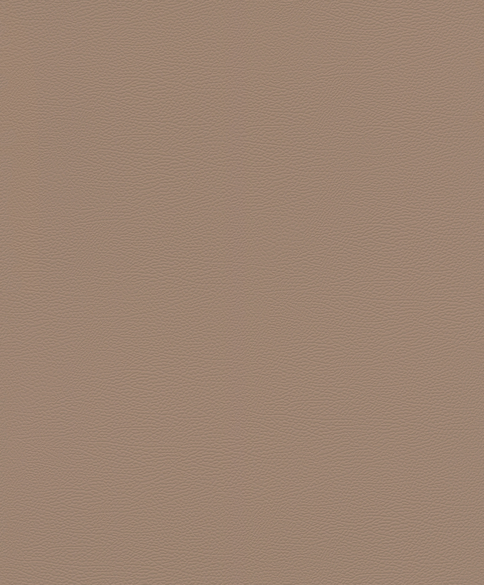 Rasch Vliestapete African Queen 3 Elefantenhaut 752724