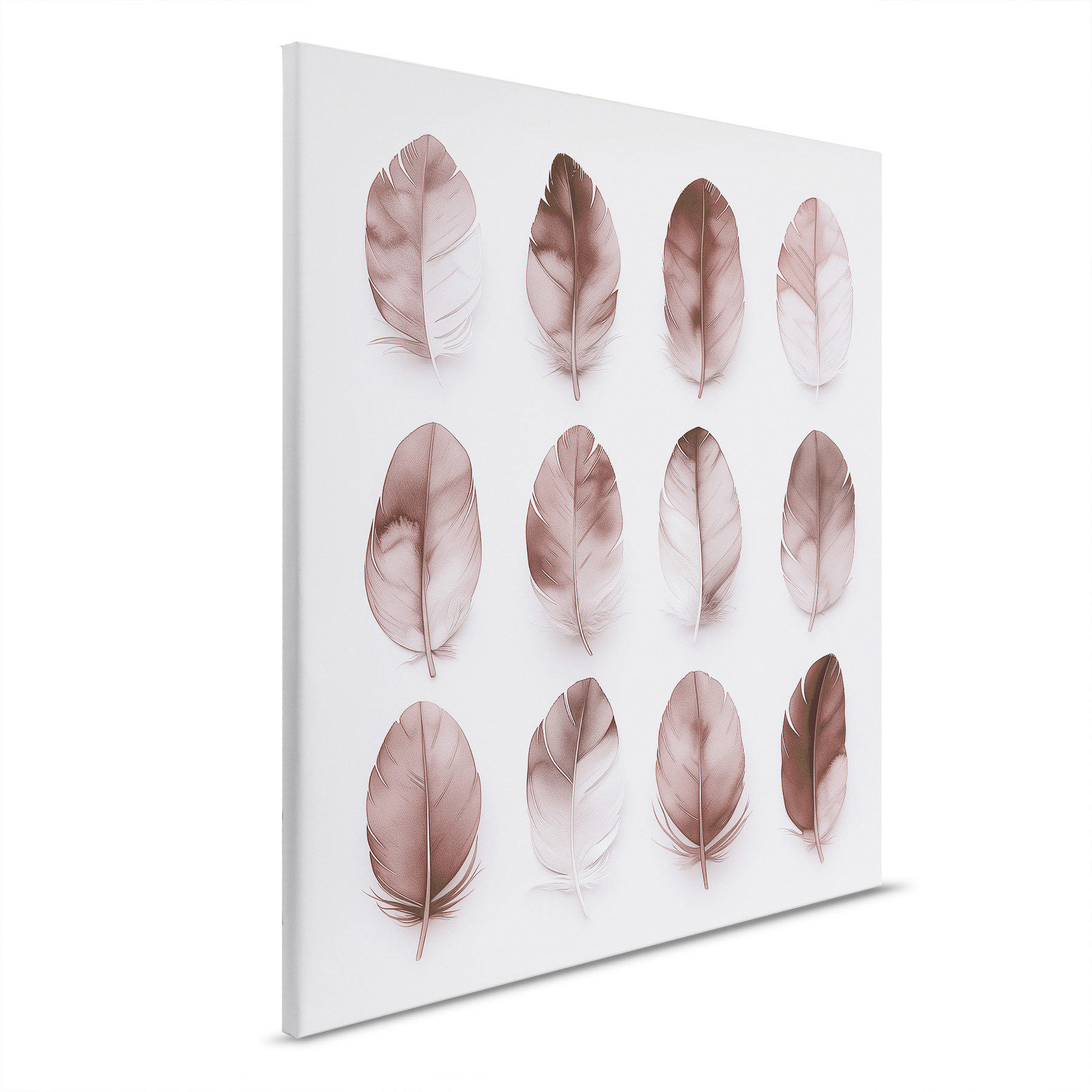 AS Leinwandbild Feathers Mauve DD132892