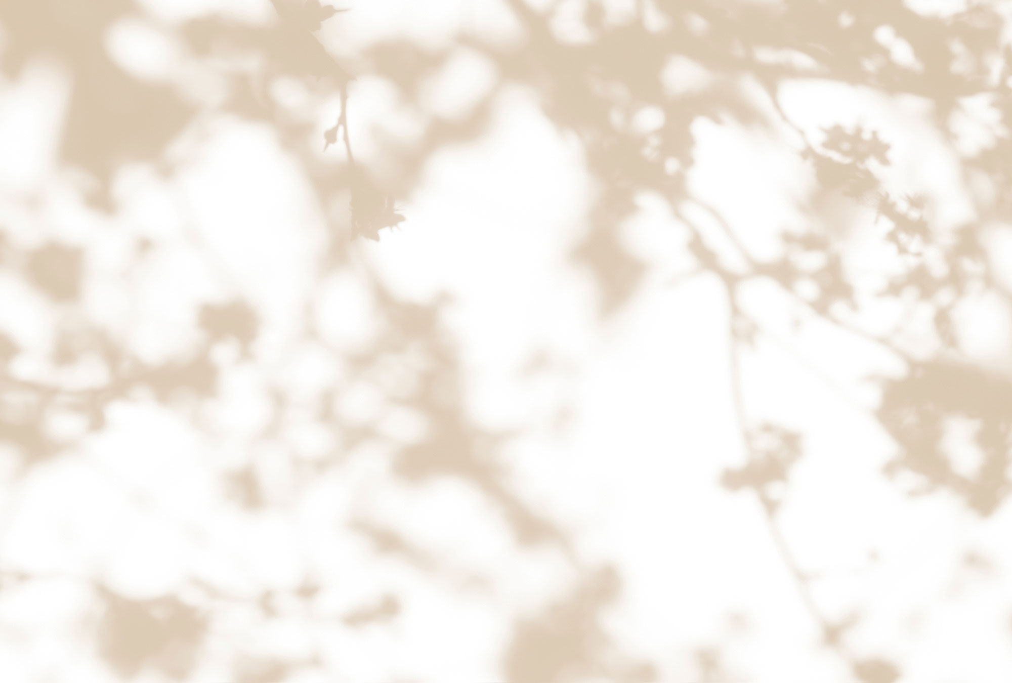 AS Fototapete Walls by Patel 3 Blumen DD122036