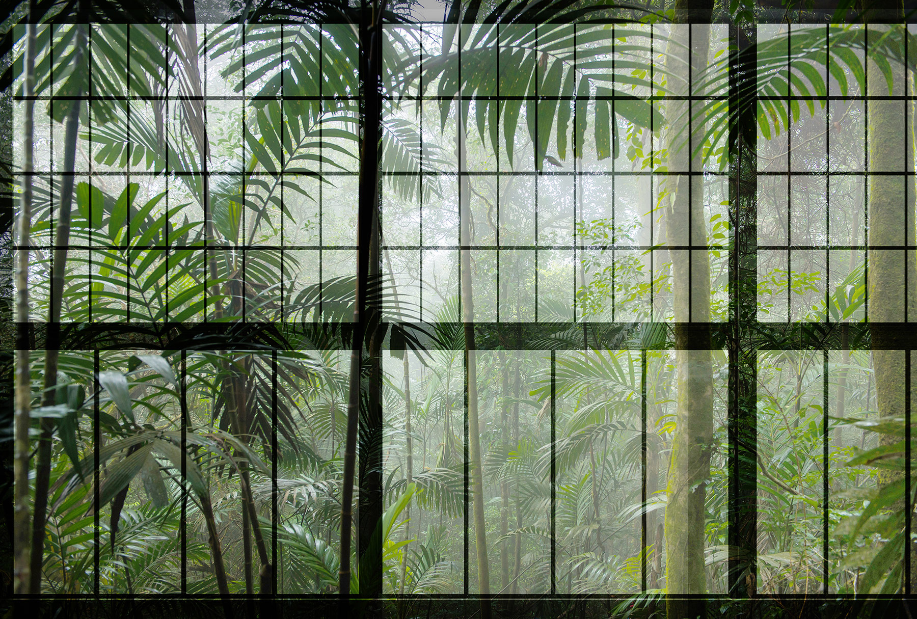 AS Fototapete Walls by Patel 2 Fenster Dschungel DD113737