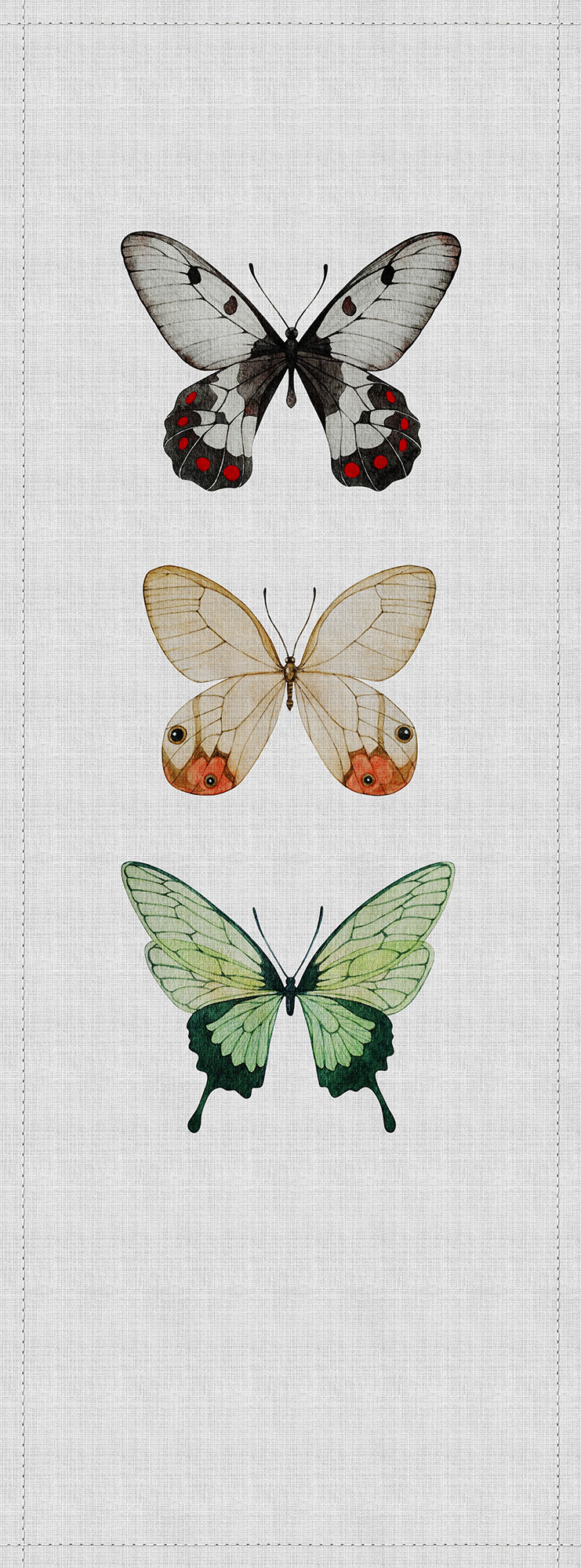 AS Fototapete Walls by Patel 2 Schmetterling DD114042