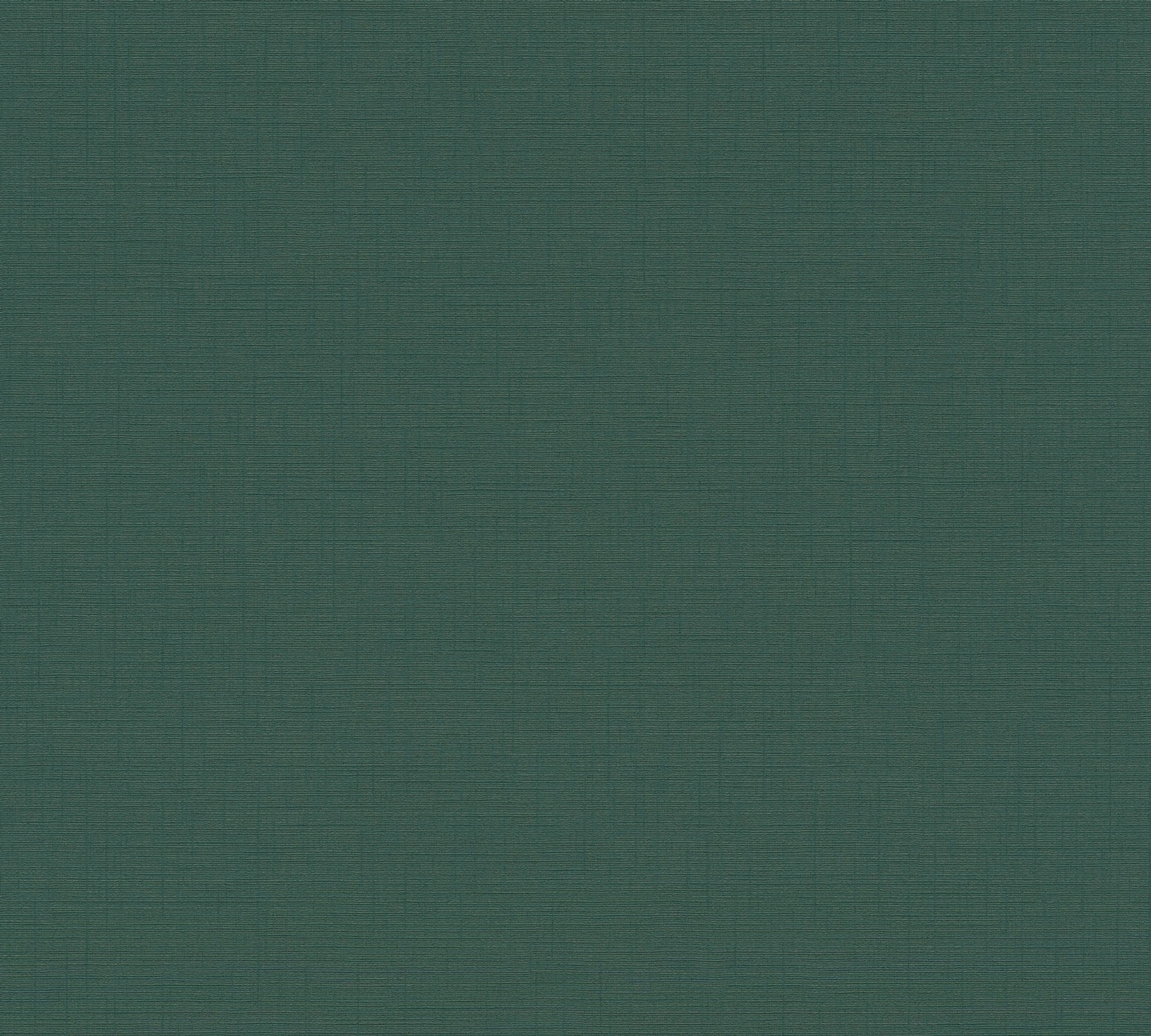 AS Vliestapete Anna d'Andrea Unitapete Grün 390984