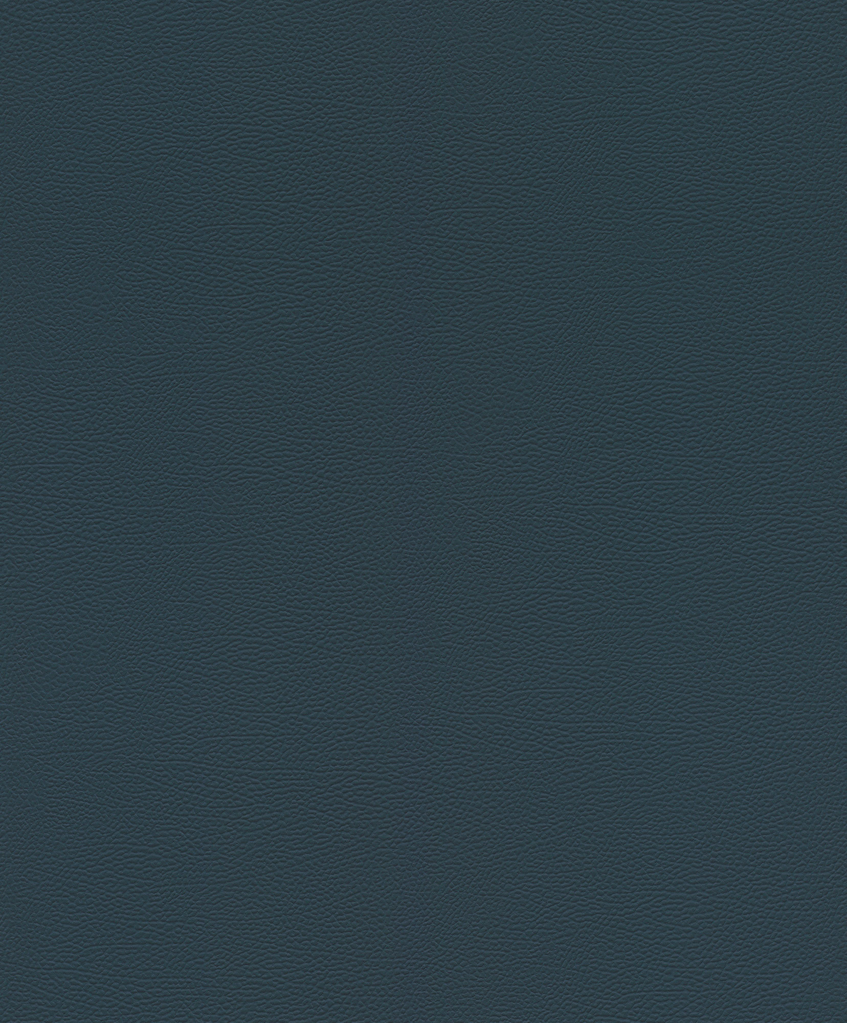 Rasch Vliestapete African Queen 3 Elefantenhaut 752670