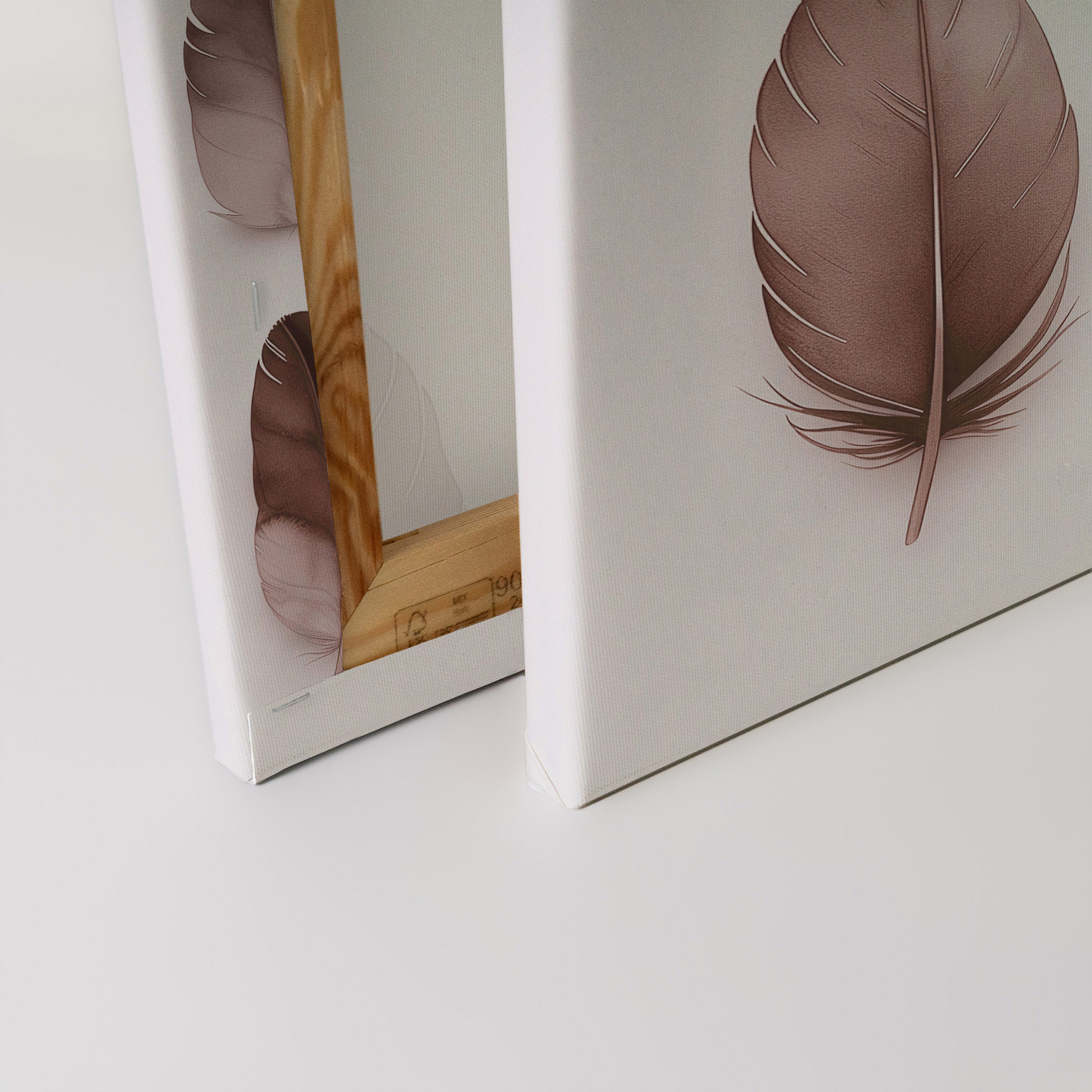 AS Leinwandbild Feathers Mauve DD132892