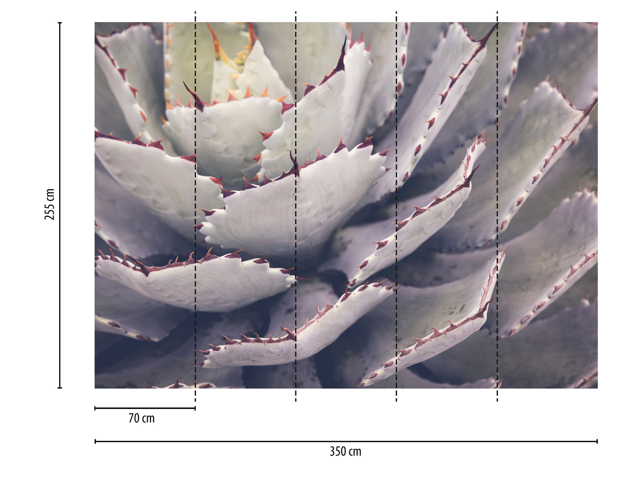 AS Fototapete Designwalls 2 Natur Blumen DD123676
