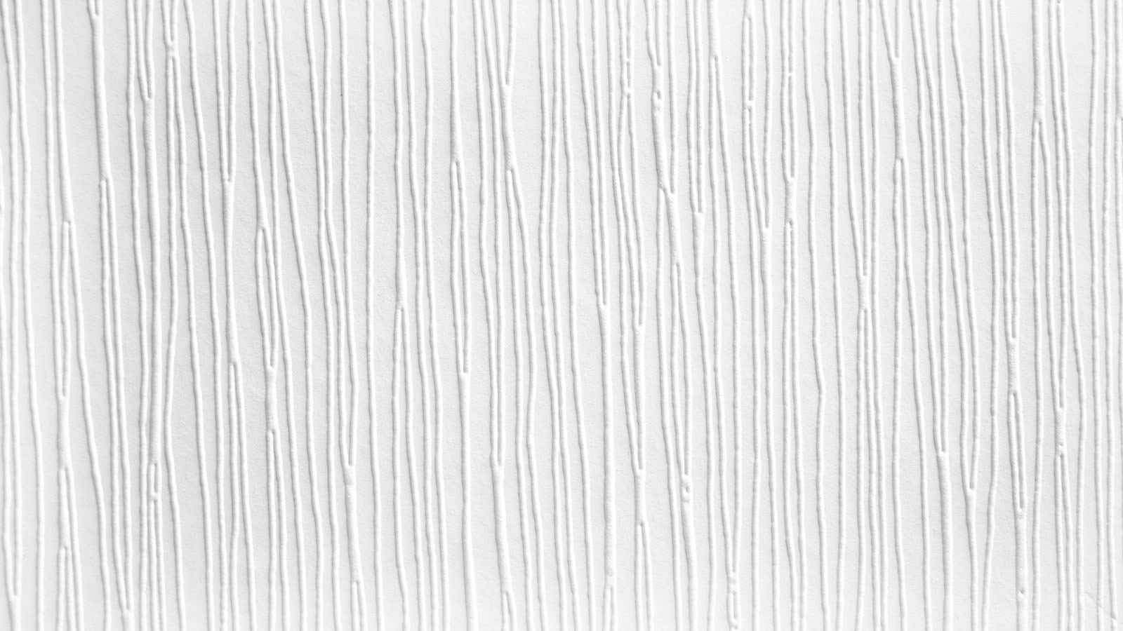 AS Vliestapete Meistervlies 8 überstreichbar 248312