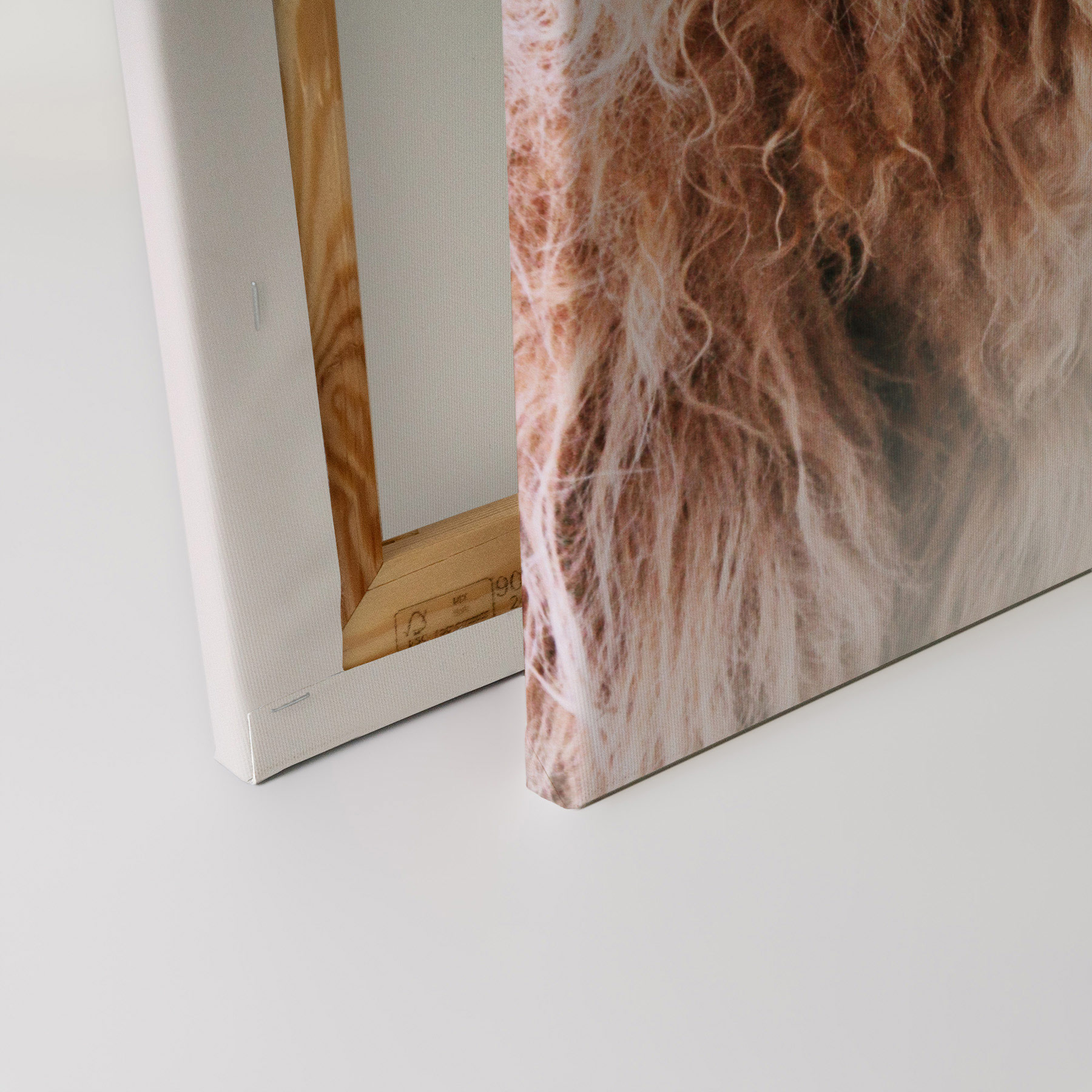 AS Leinwandbild Highland Cattle 2 DD132233