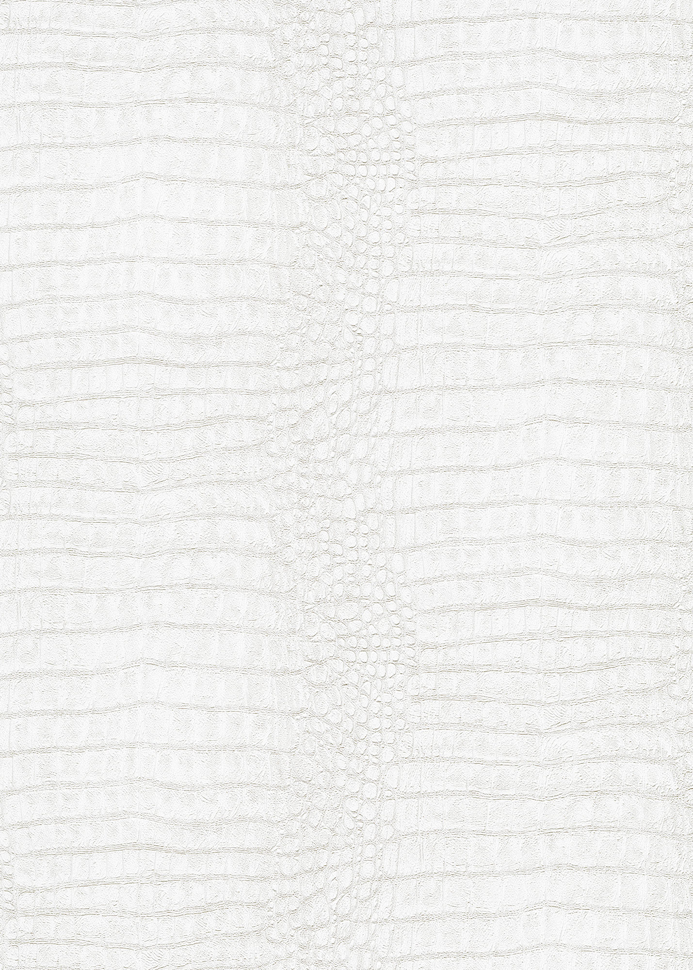 Erismann Vliestapete Forest Dreams grau 1056010