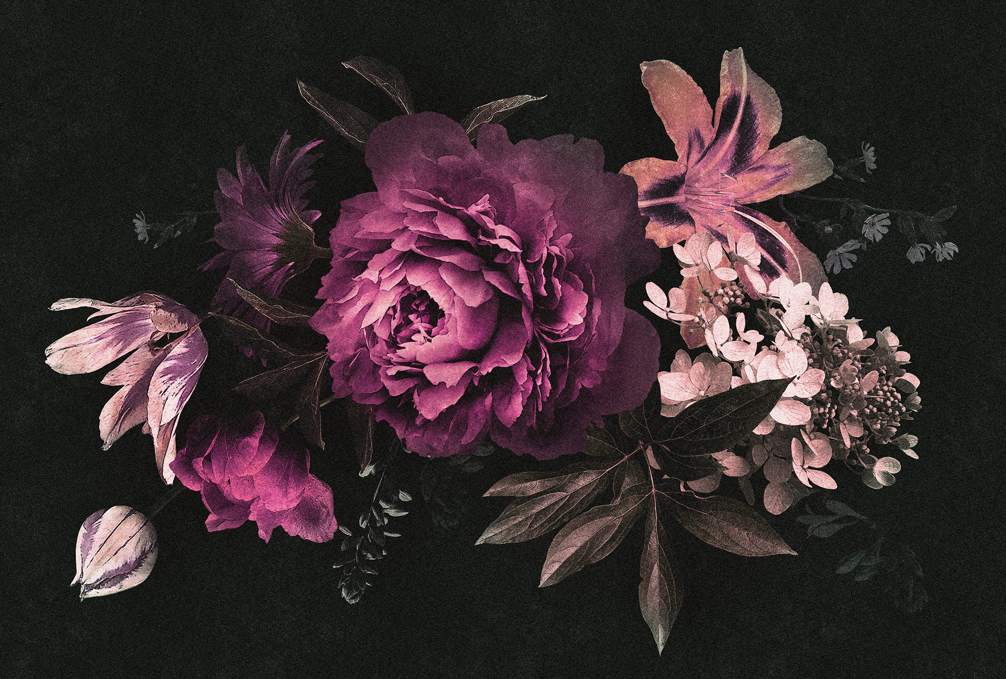 AS Fototapete Walls by Patel 2 Blumen DD114172