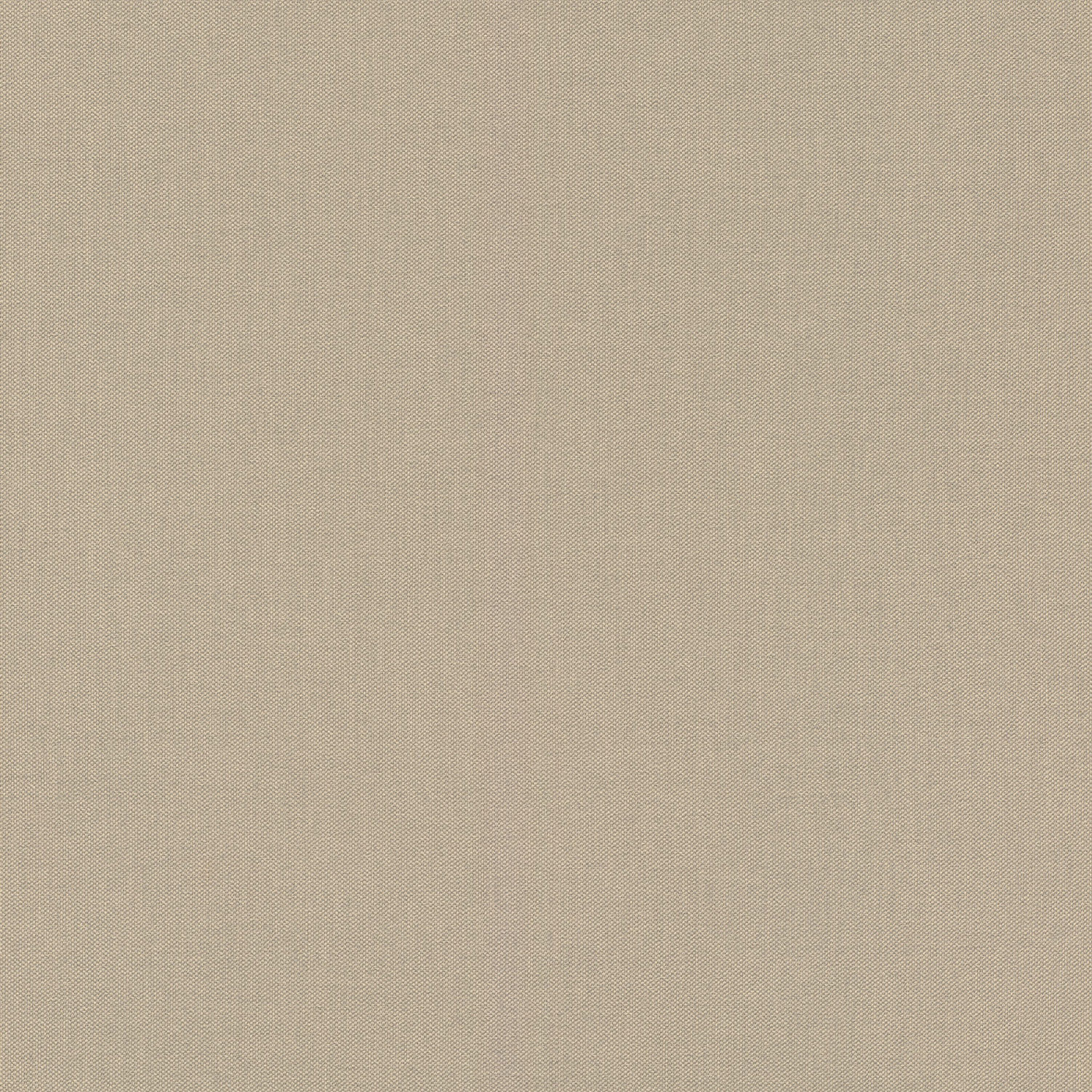 Rasch Vliestapete Allegretto Braun-Sand 423921