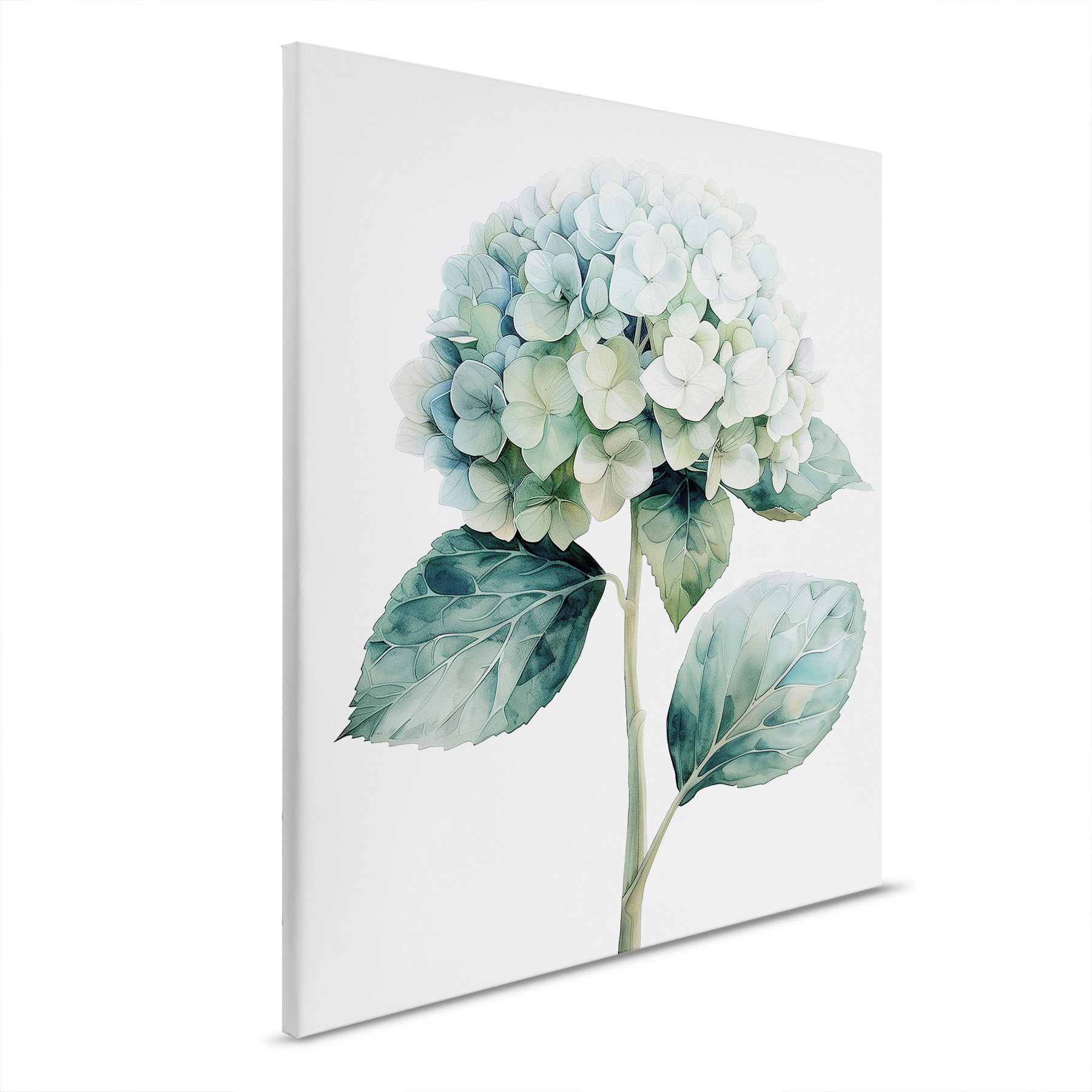 AS Leinwandbild Hortensie Bleue DD132920