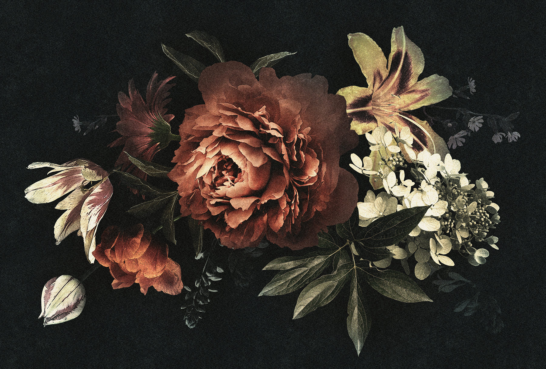 AS Fototapete Walls by Patel 2 Blumen DD114162