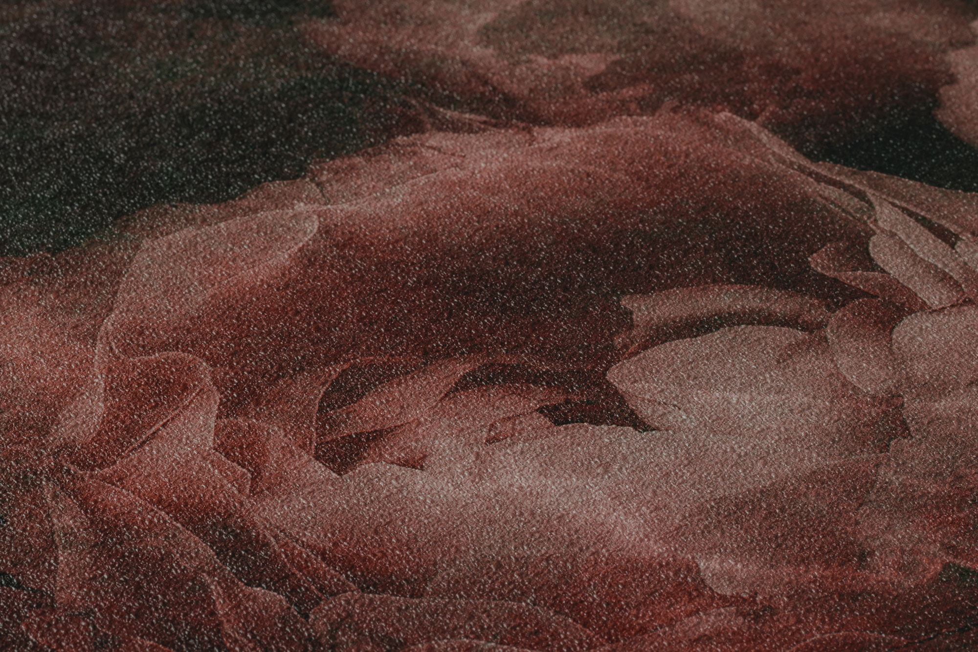 AS Vliestapete New Walls Florale Tapete 373924