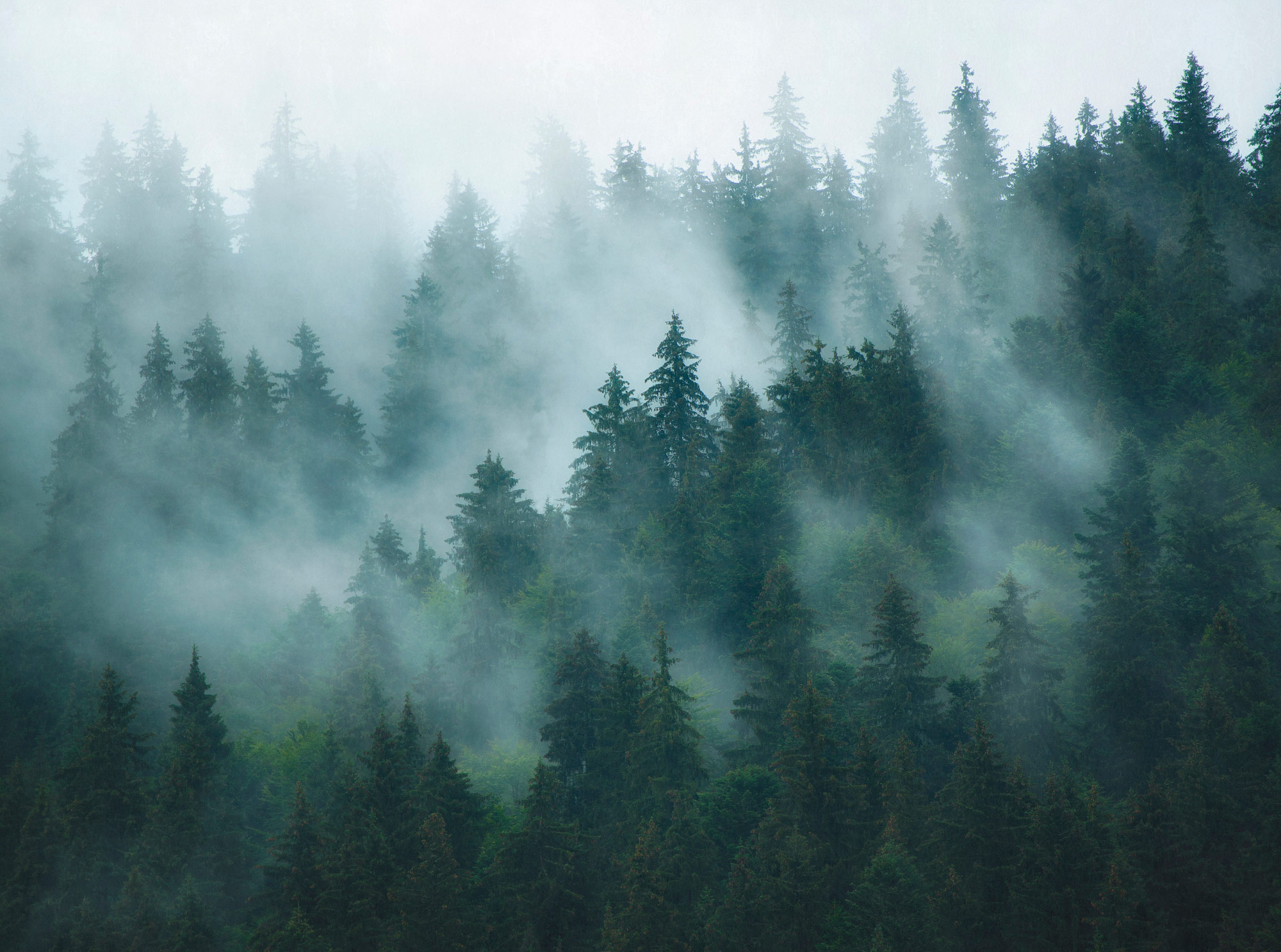 Livingwalls Vliestapete The Wall 3 Landschaft 398981