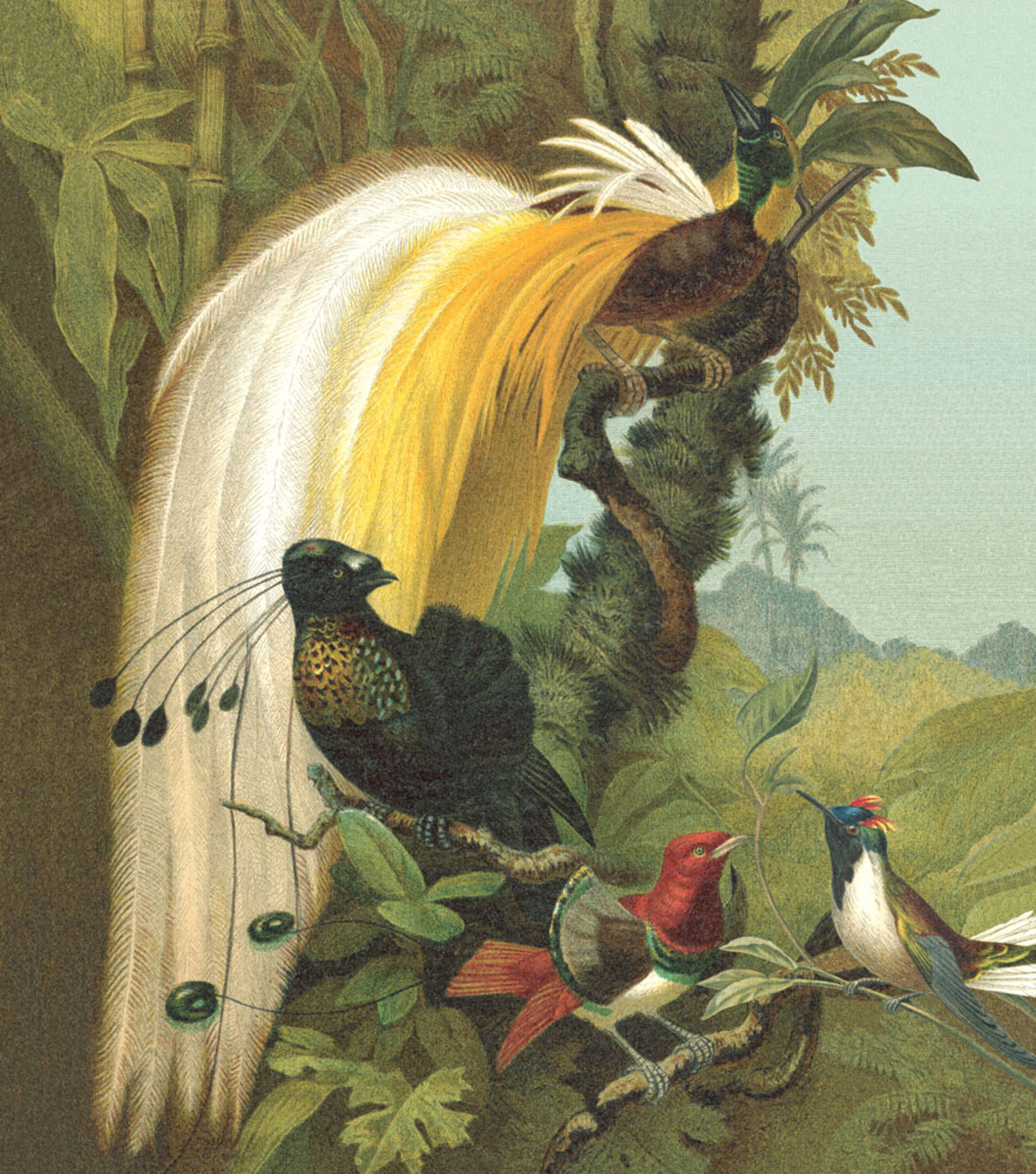 Rasch Fototapete Magic Walls Exotisch 543780