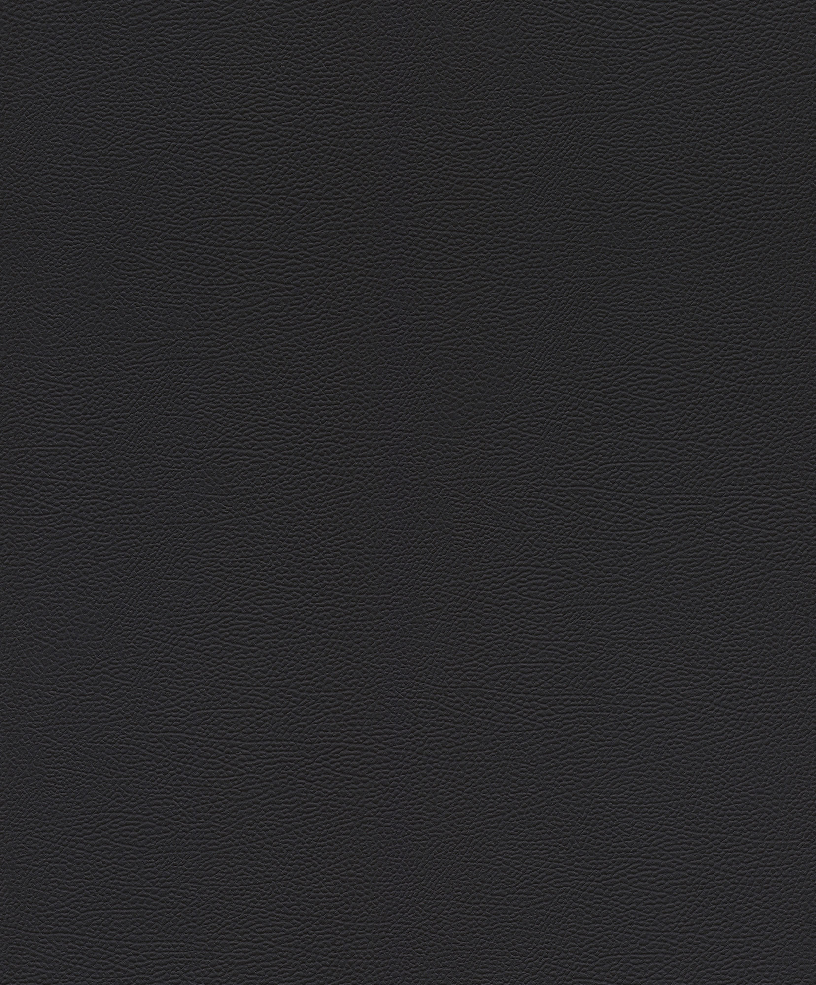 Rasch Vliestapete African Queen 3 Elefantenhaut 752656