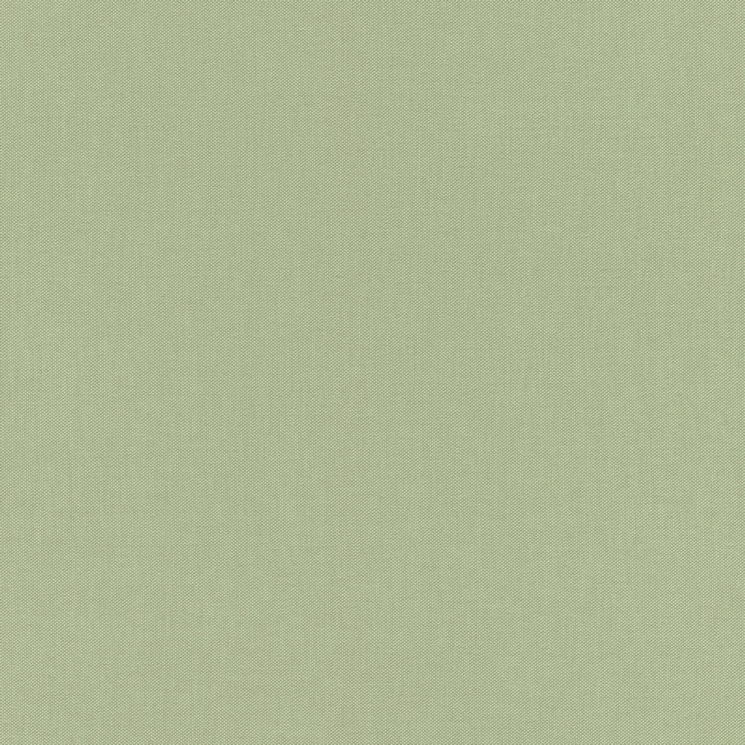 Rasch Vliestapete Allegretto Grün-Salbei 423938