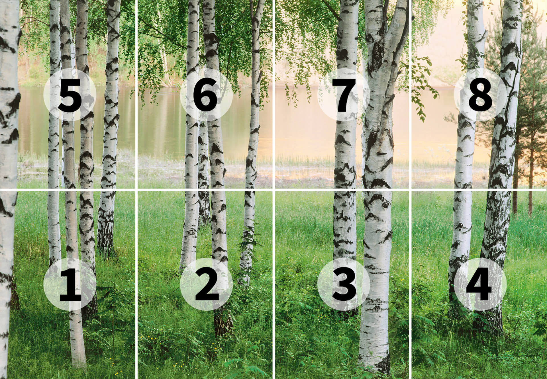 AS Fototapete Designwalls 2.0 Nordic Forest DD118859