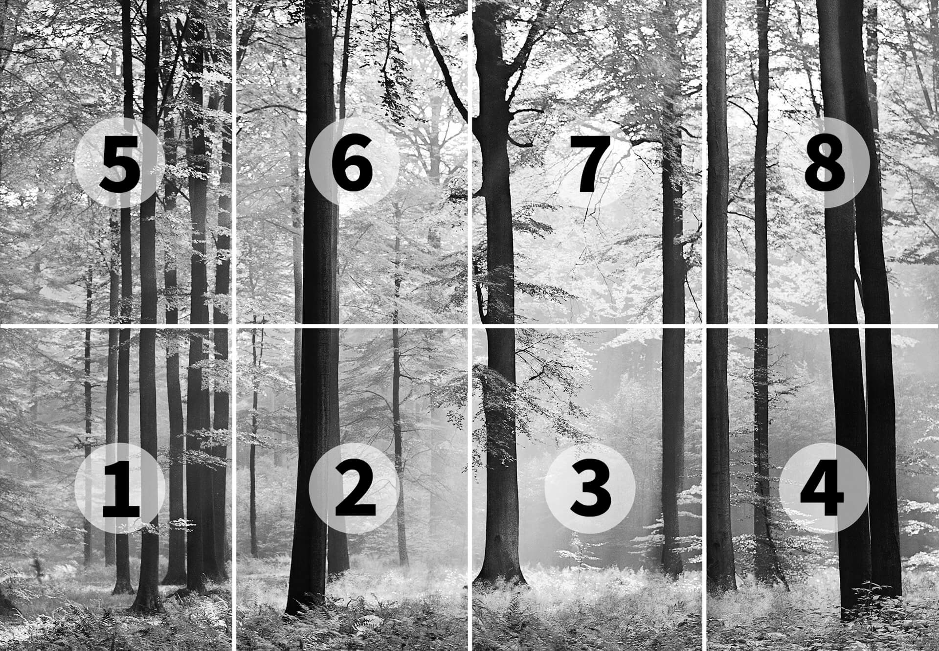 AS Fototapete Designwalls 2.0 Avalon DD118858