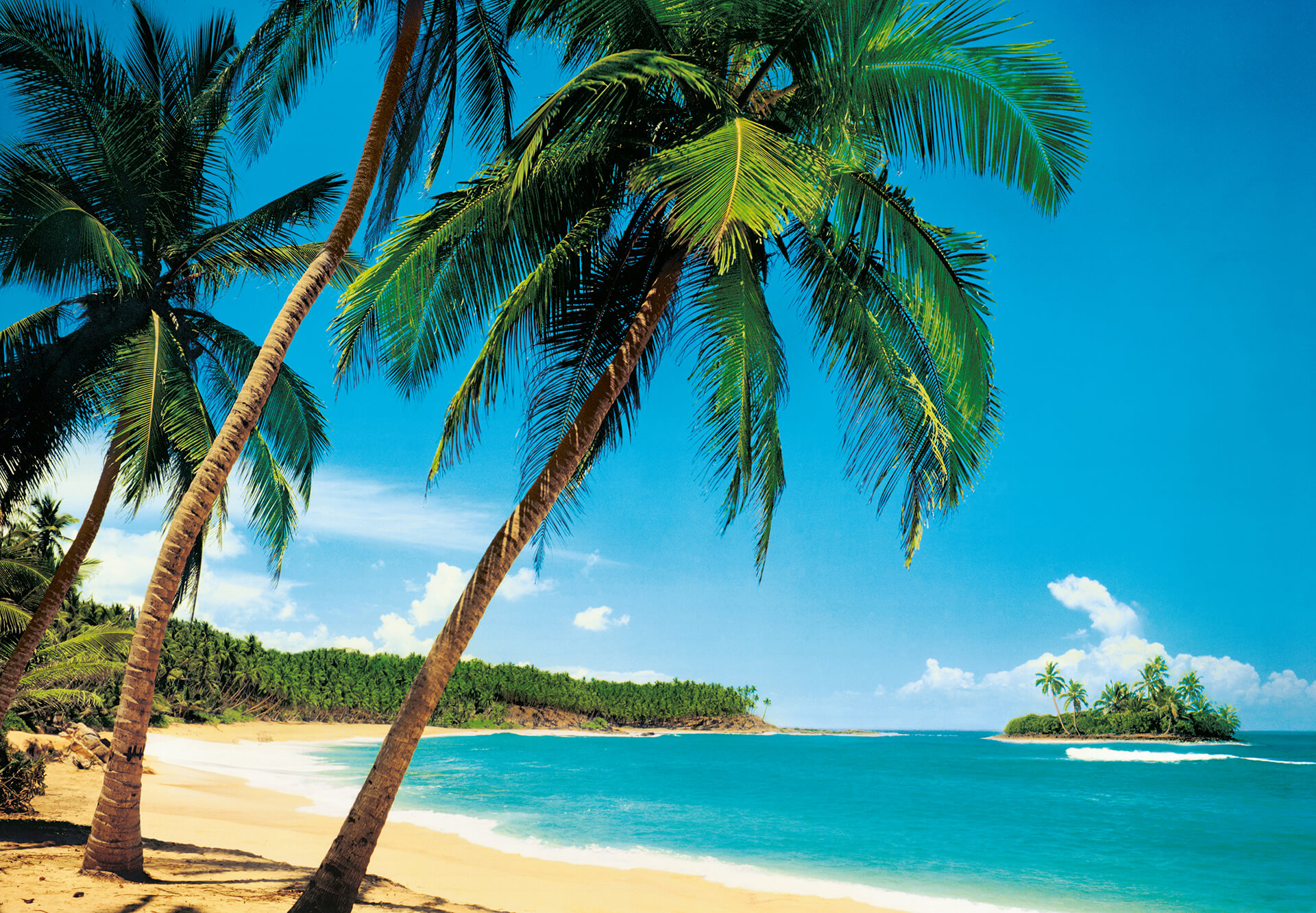 AS Fototapete Designwalls 2.0 Ile Tropicale DD118865