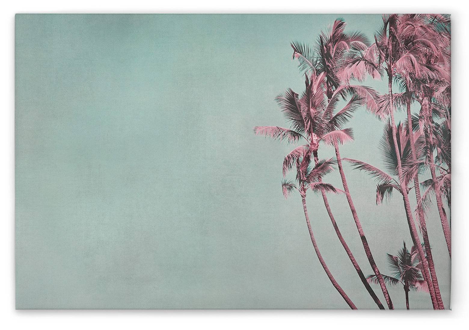 AS Leinwandbild Tropical Breeze DD132158