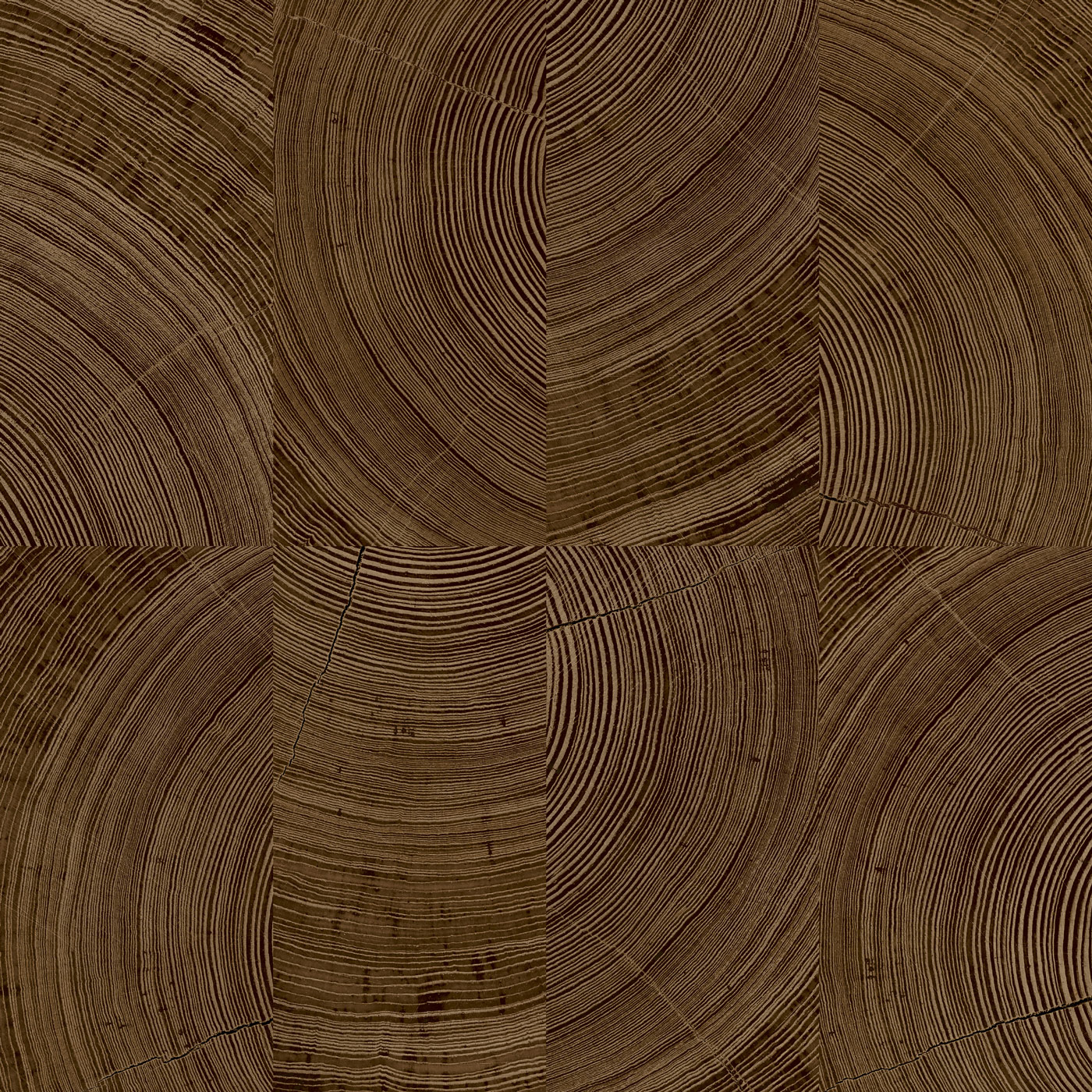 Grandeco Vliestapete Karuna A69103