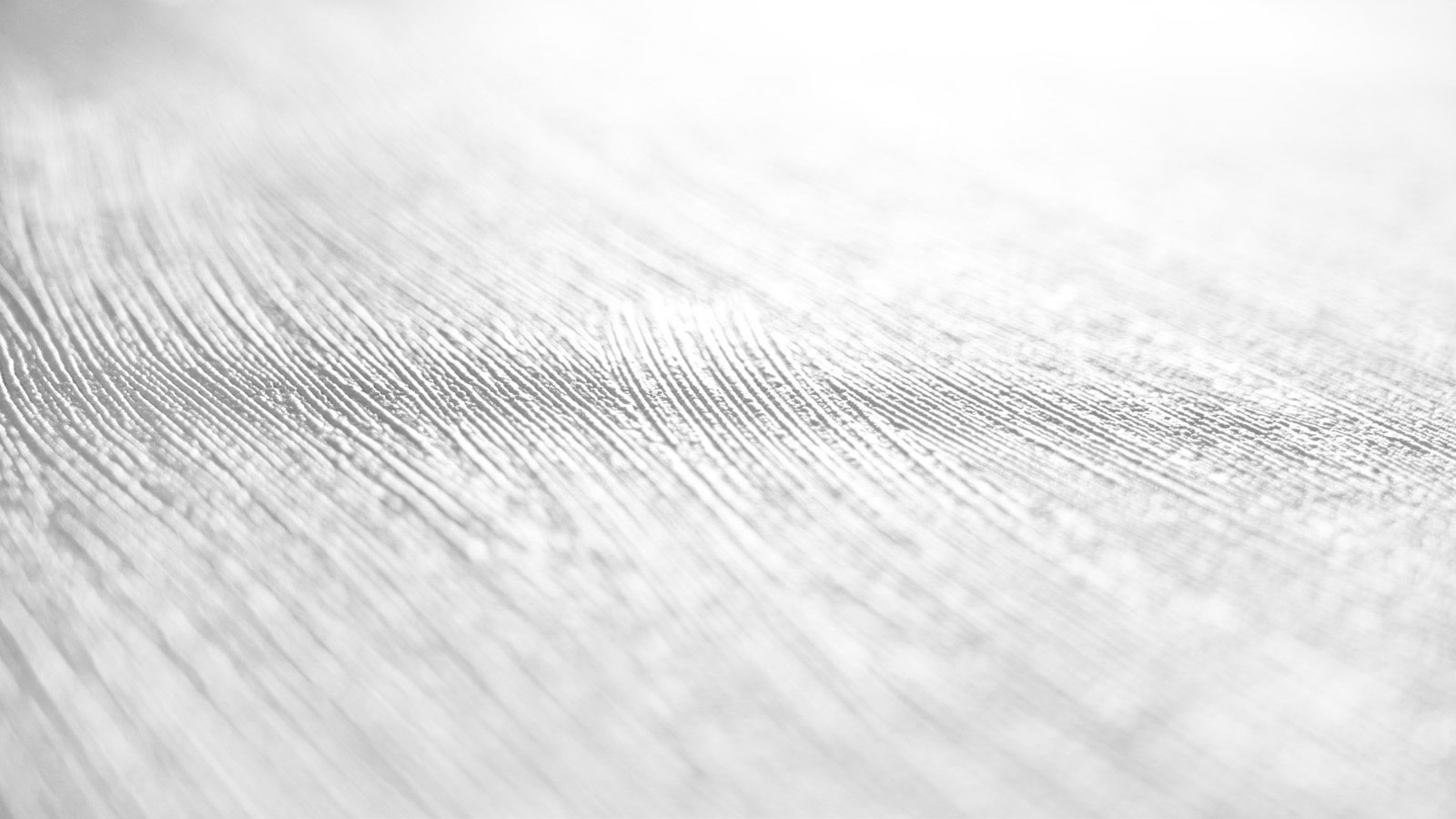 AS Vliestapete Meistervlies 8 überstreichbar 950918