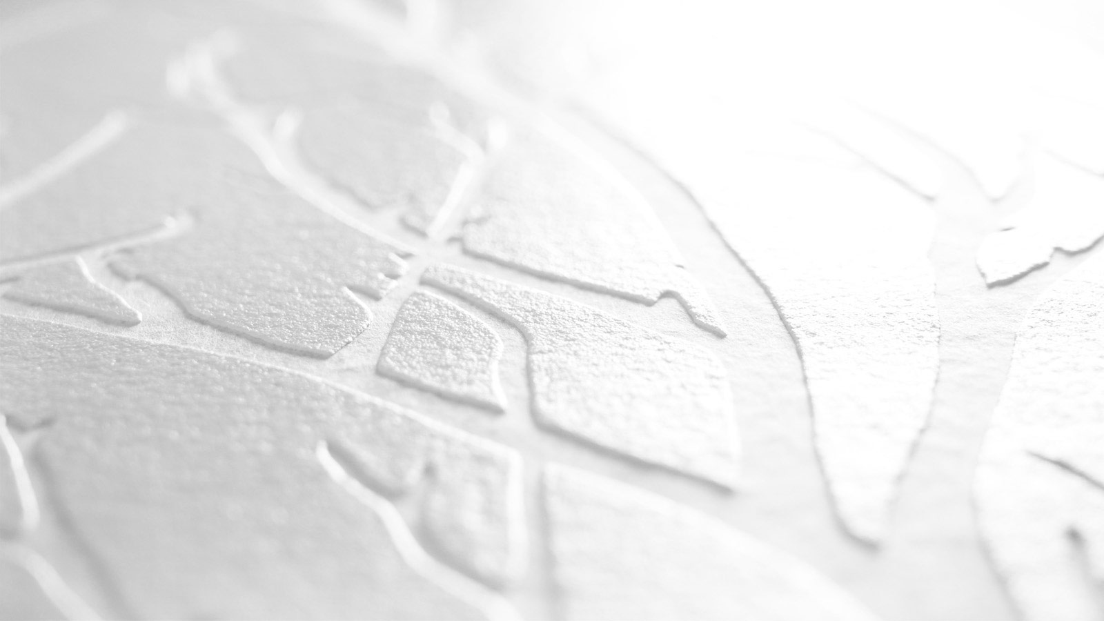 AS Vliestapete Meistervlies 8 überstreichbar 321015