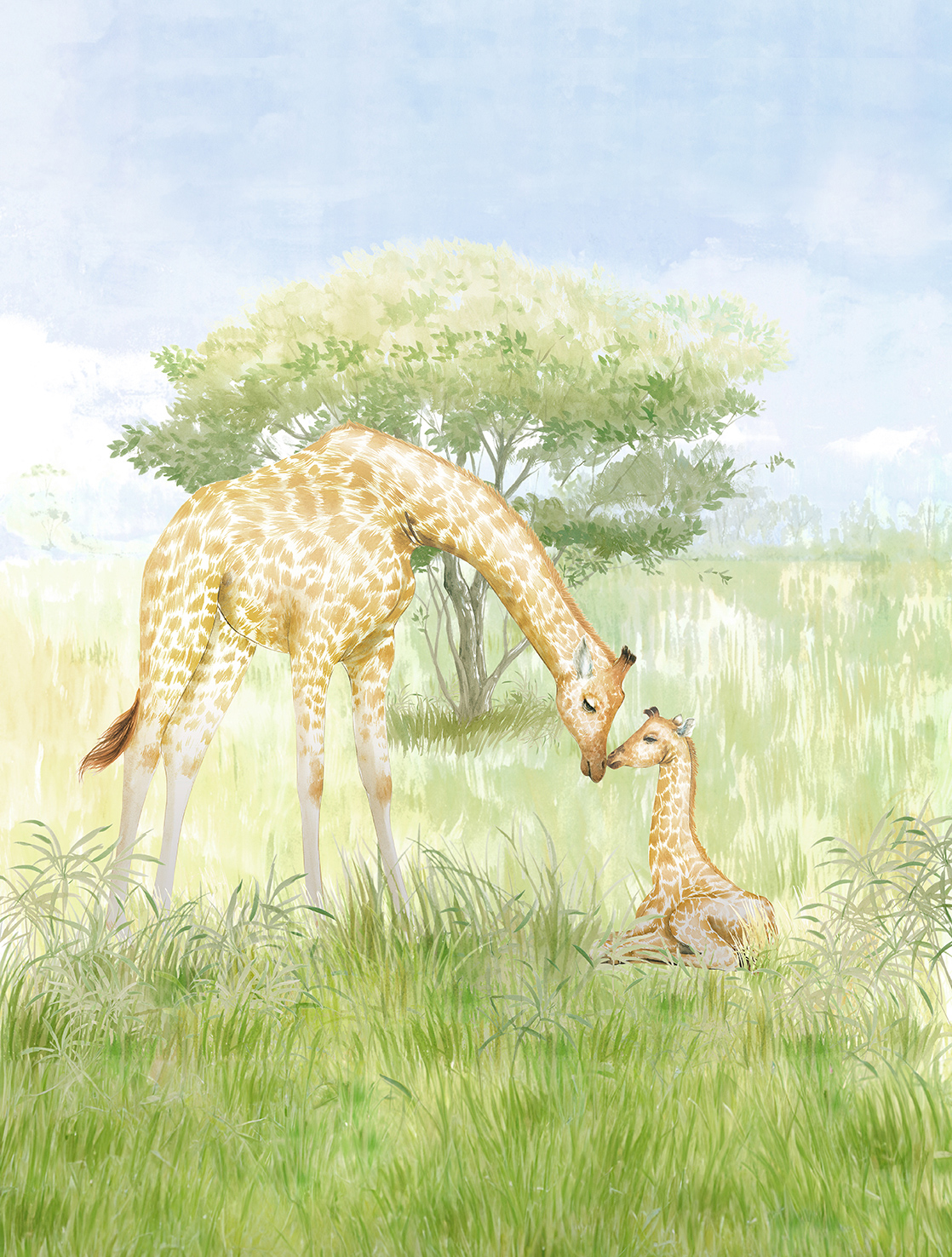 Decoprint Fototapete Cute Walls Giraffen CW61152