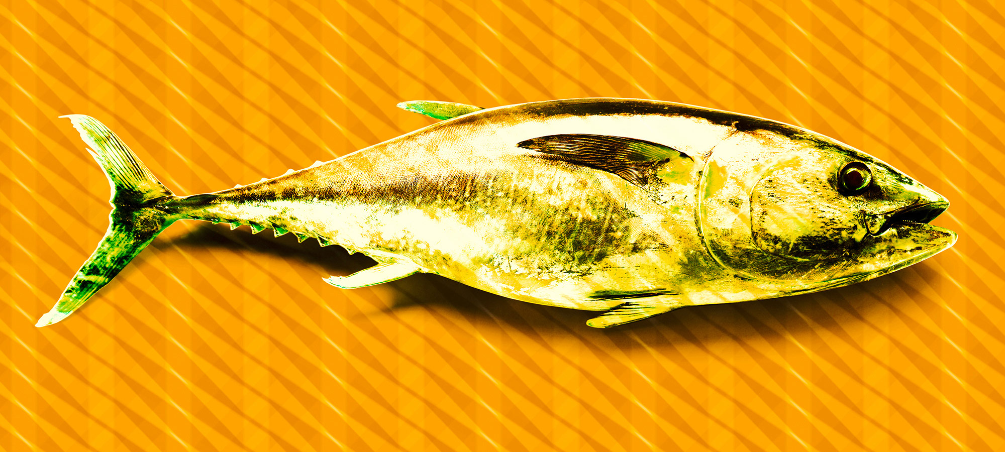 AS Fototapete Atelier 47 TunaGraphic DD118250