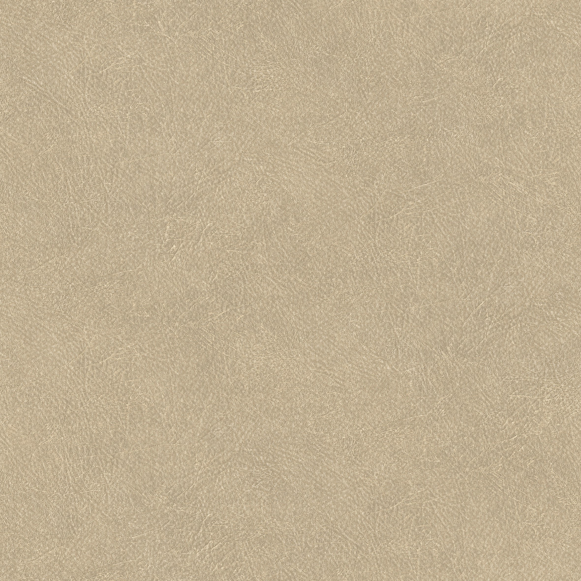 Thomas Vliestapete Pacific Island beige Lederoptik TA25021