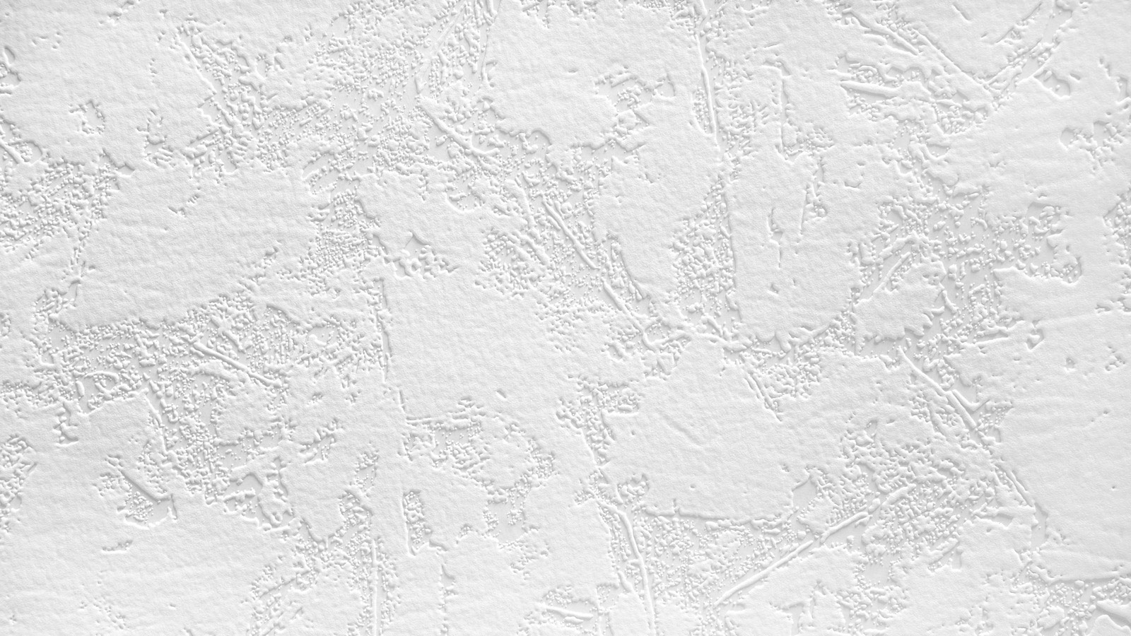 AS Vliestapete Meistervlies 8 überstreichbar 522016