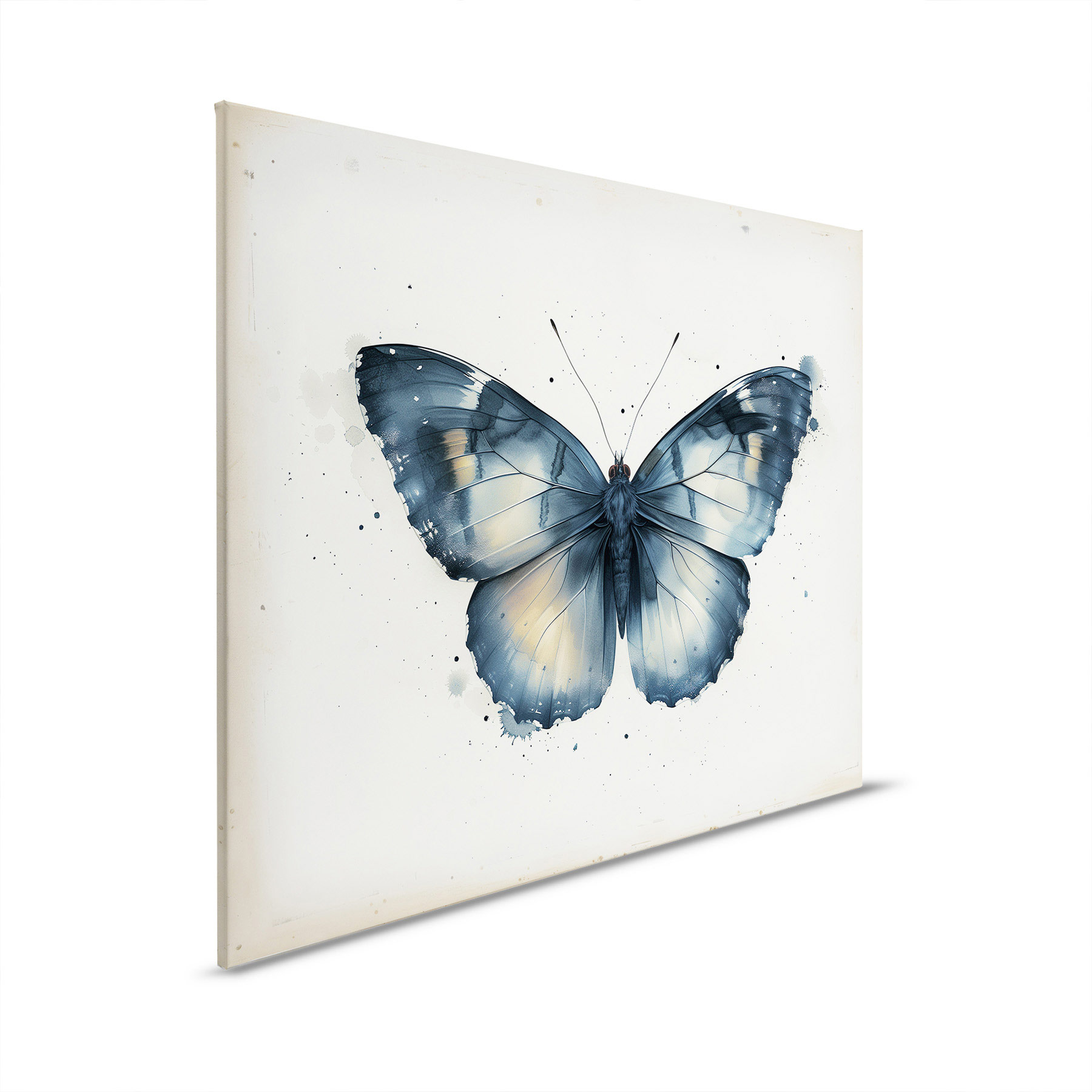 AS Leinwandbild Butterfly DD132886