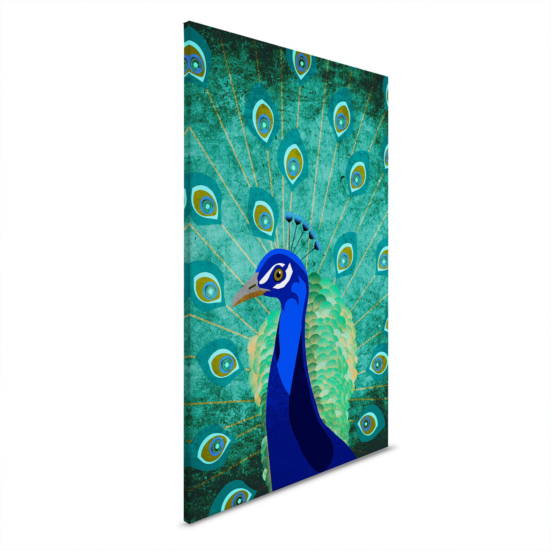 AS Leinwandbild Peacock DD131881