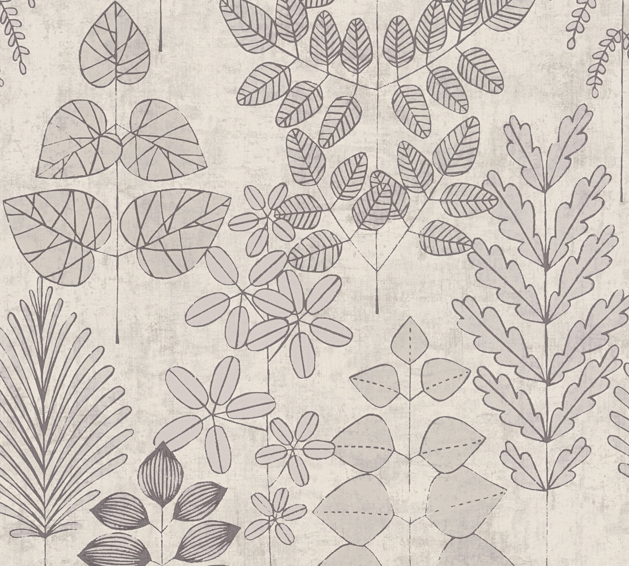 AS Vliestapete Nordic Feeling Blätter Zweige Grau 791495