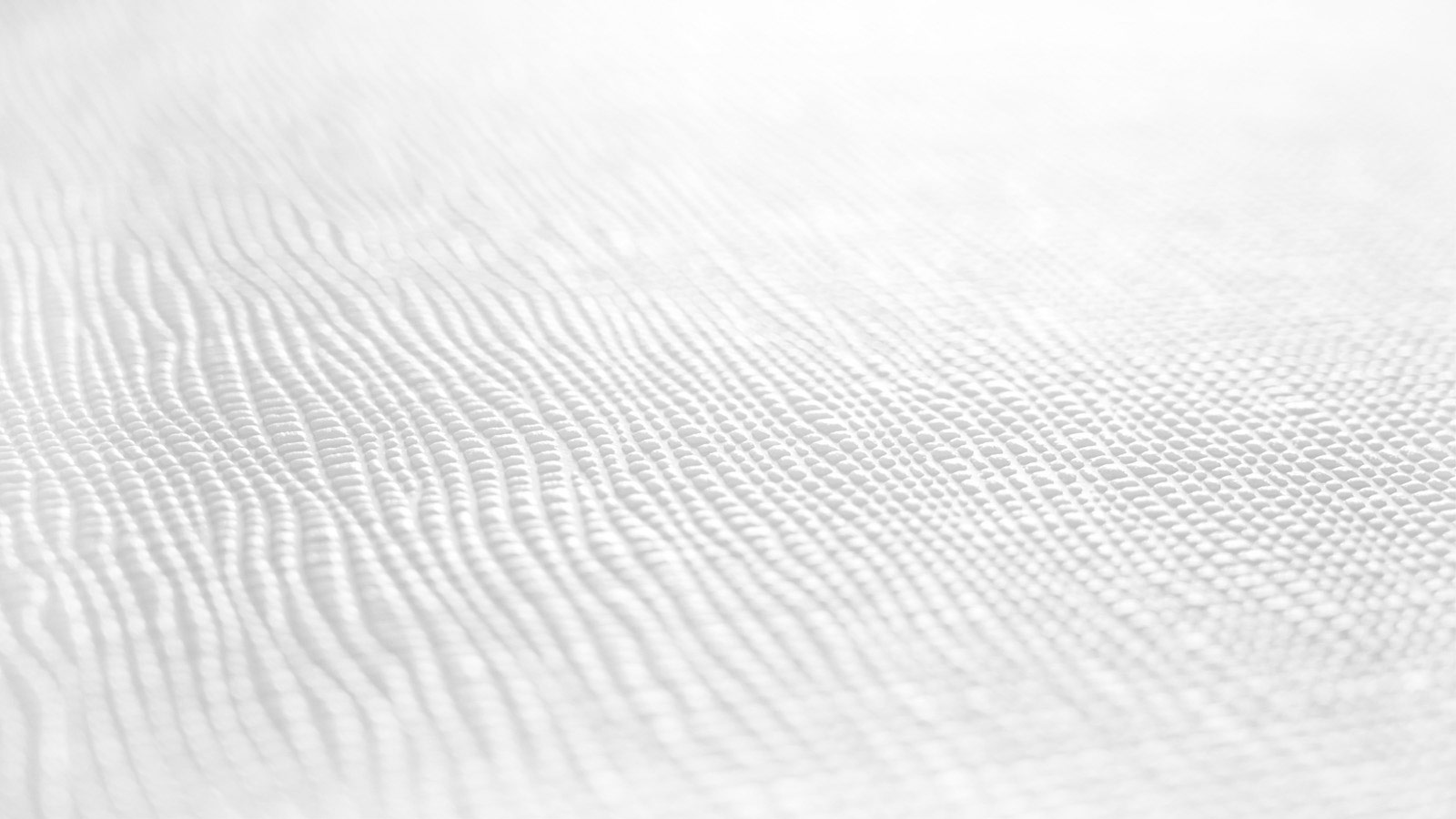 AS Vliestapete Meistervlies 8 überstreichbar 246110